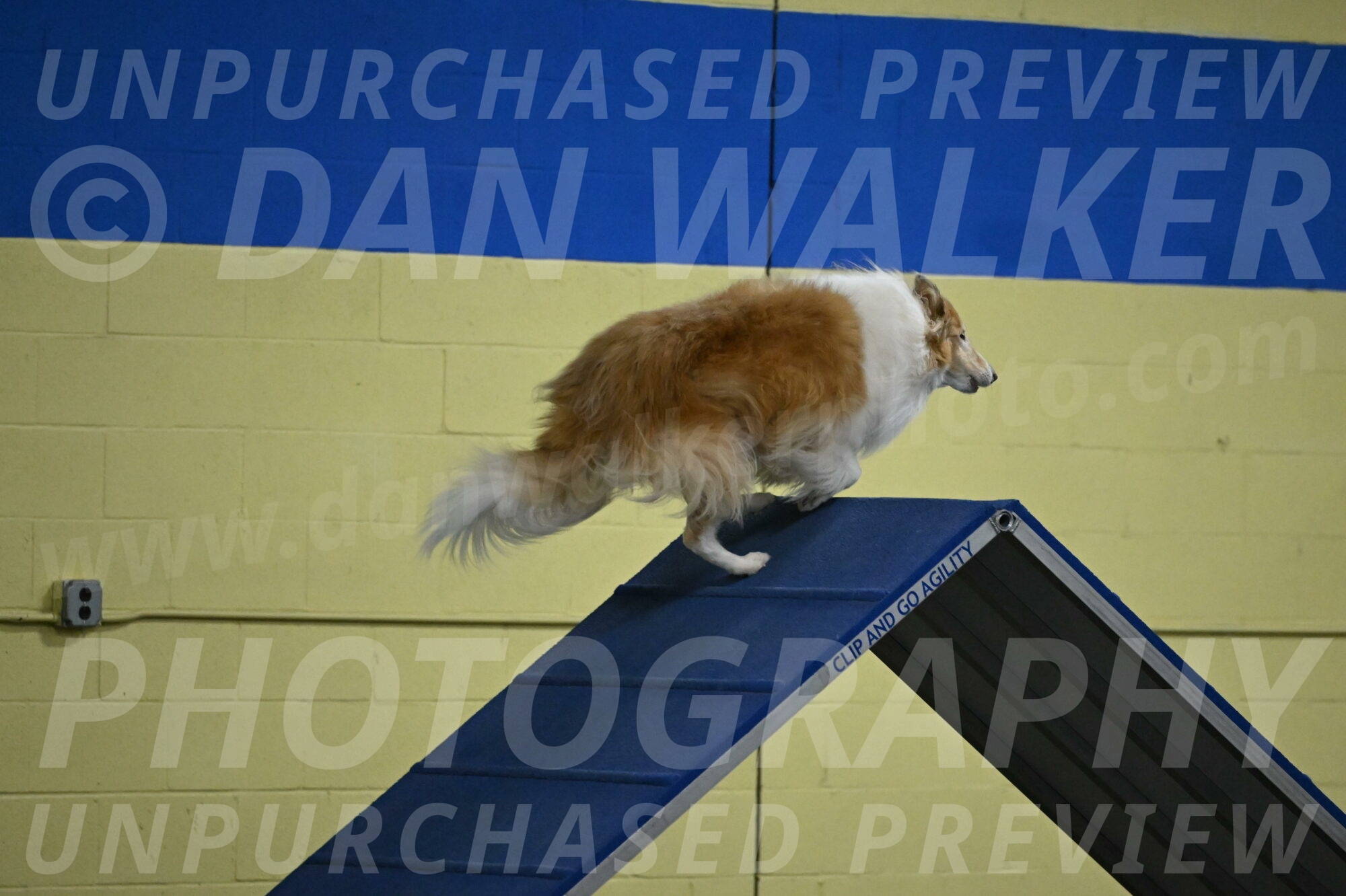 Attie-Schaffer-15092