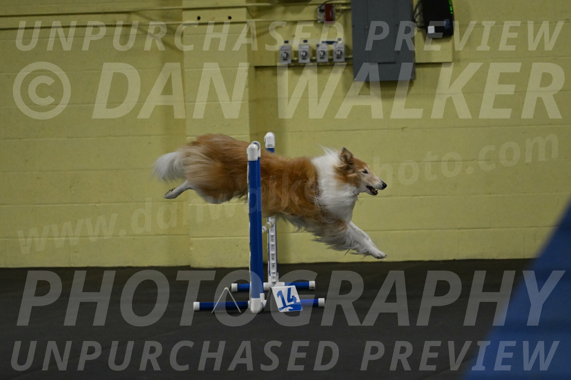 Attie-Schaffer-15105