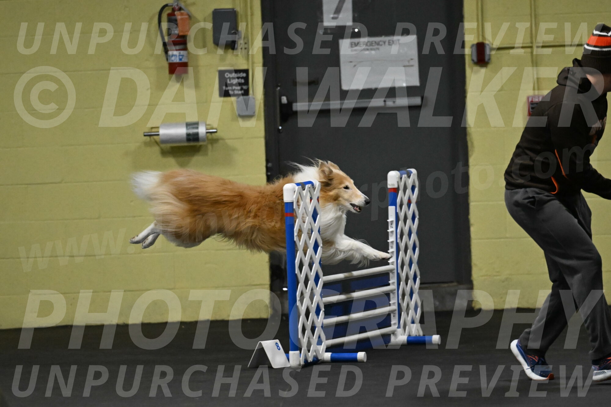 Attie-Schaffer-15107