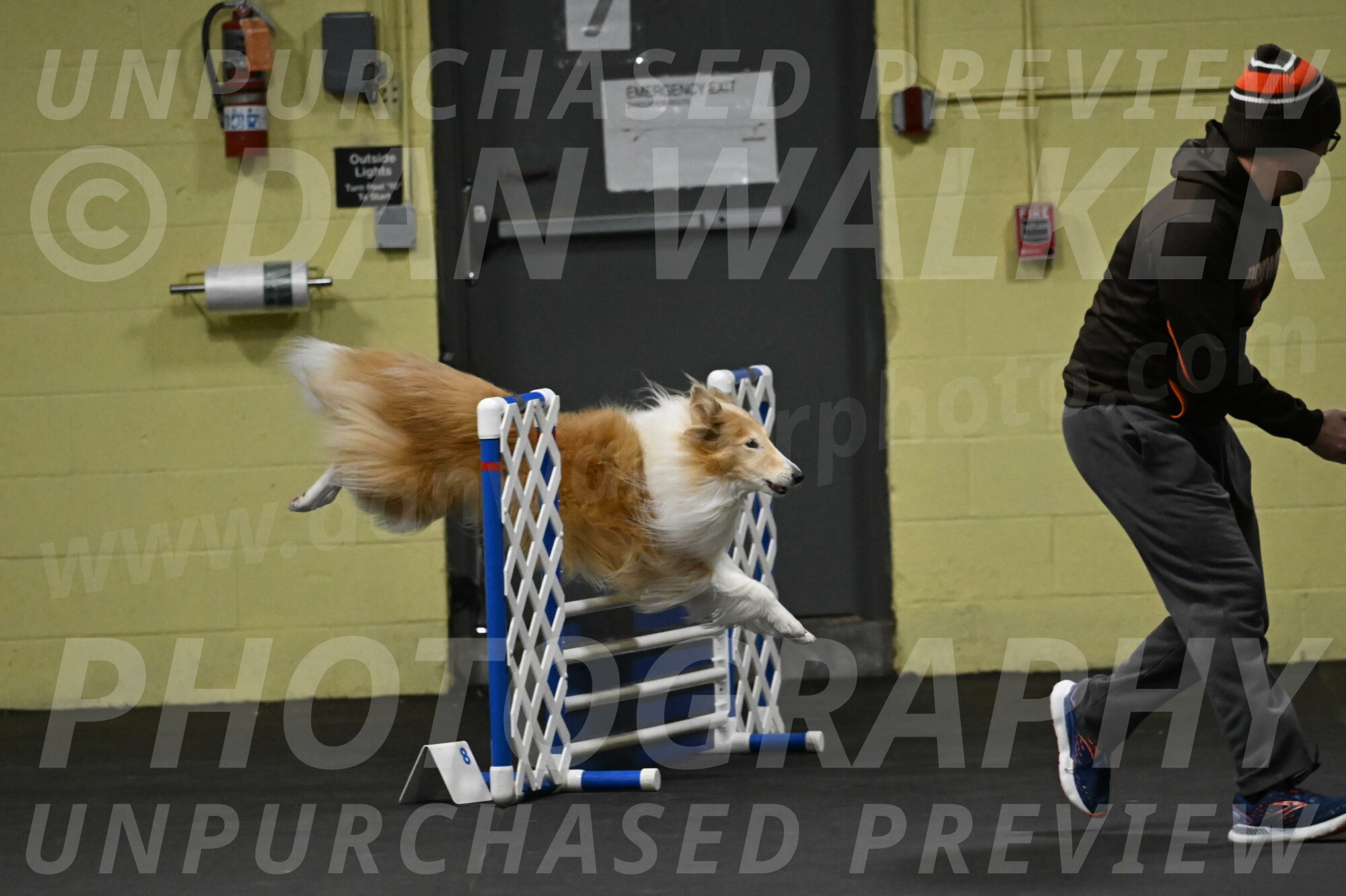 Attie-Schaffer-15108