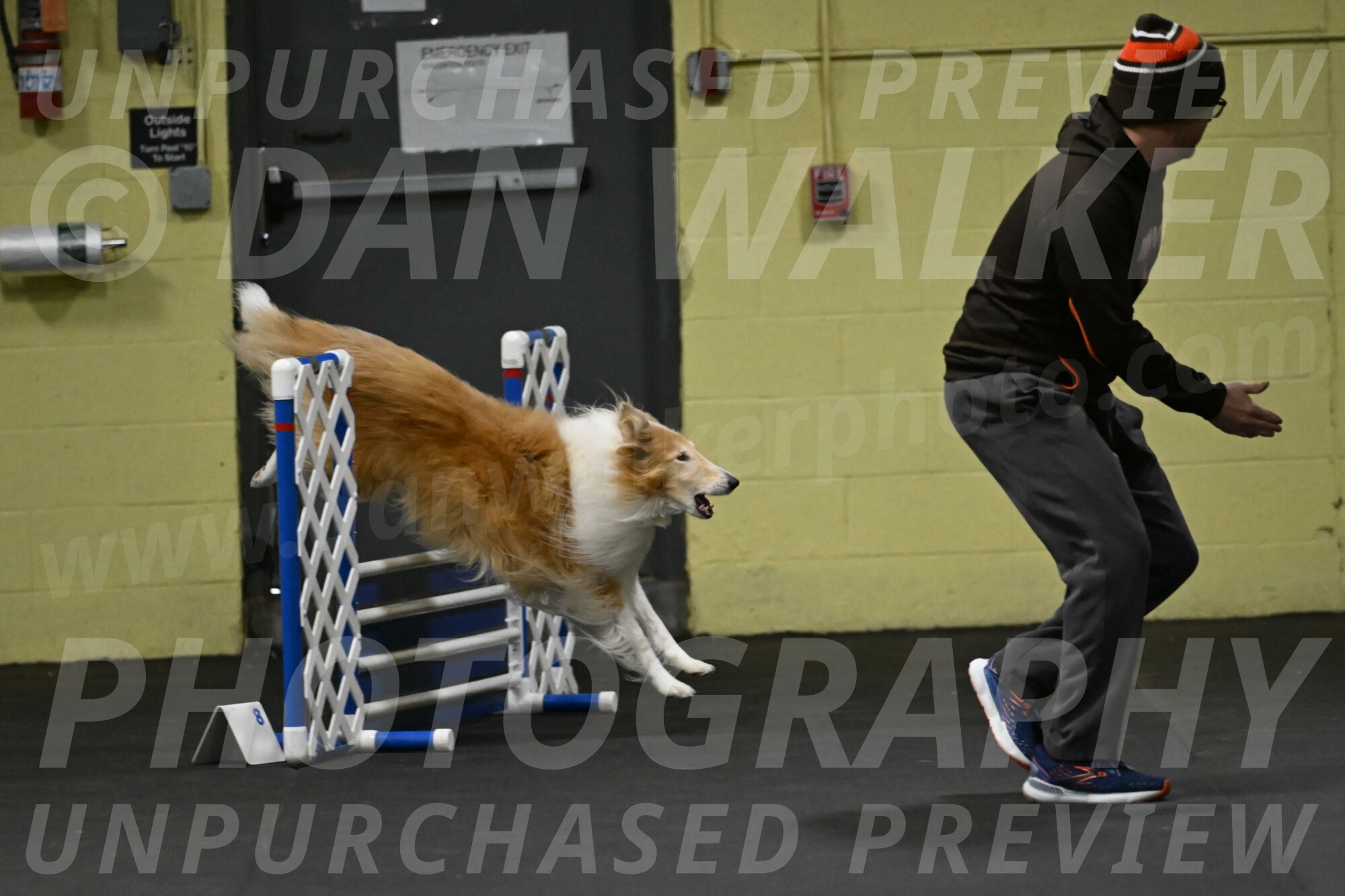 Attie-Schaffer-15109