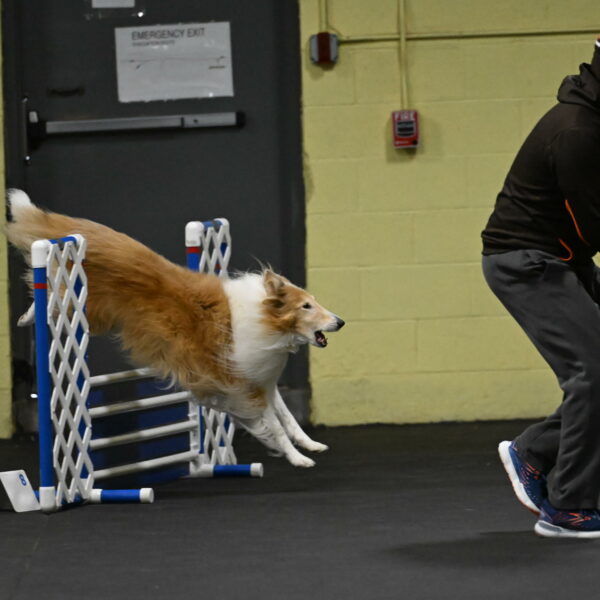 Attie-Schaffer-15109