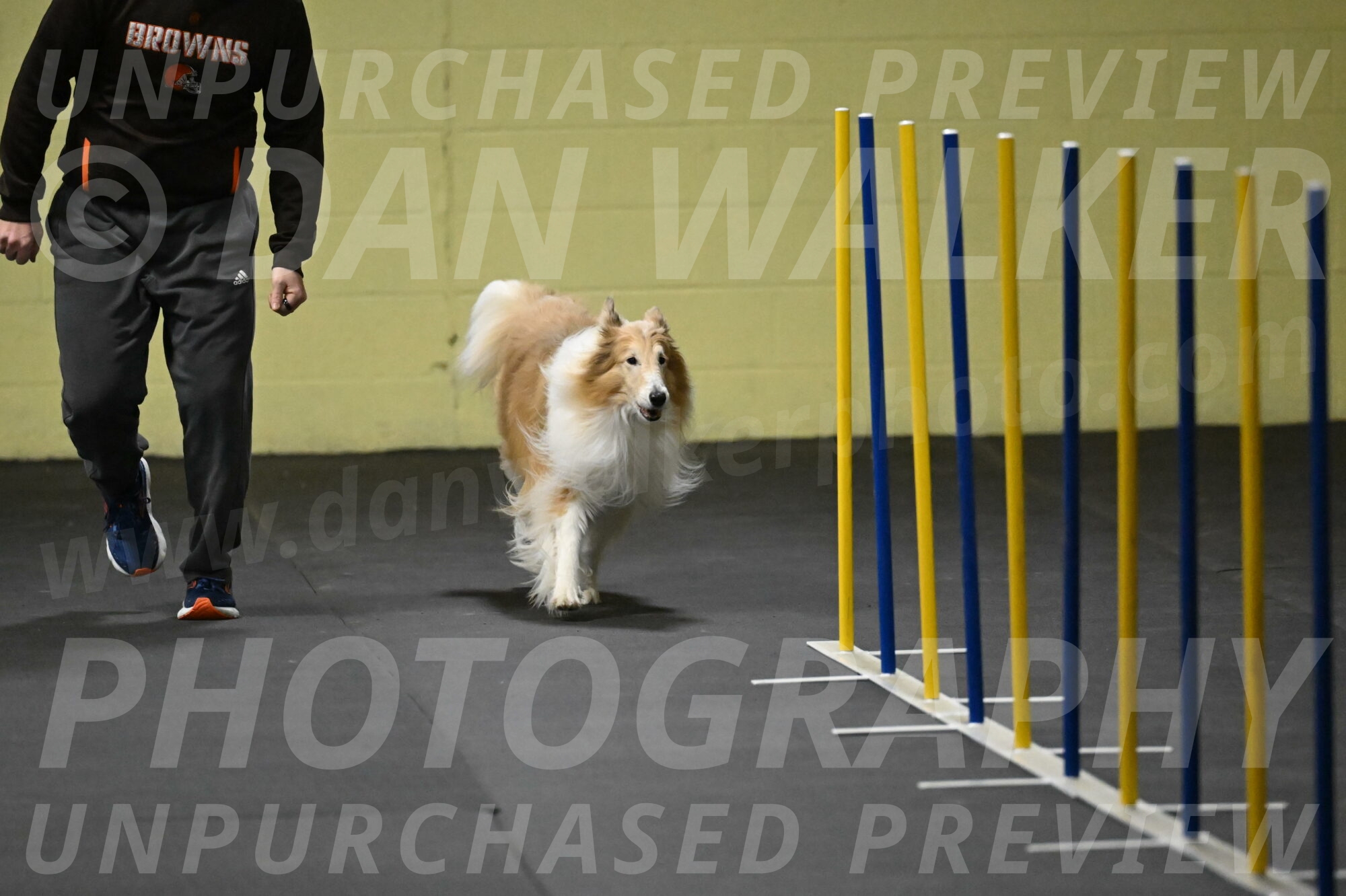 Attie-Schaffer-15110