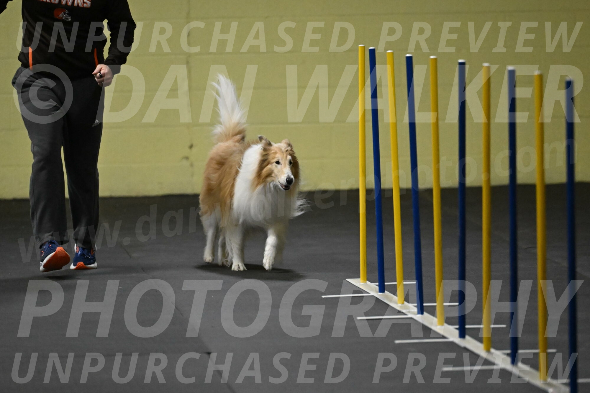 Attie-Schaffer-15112