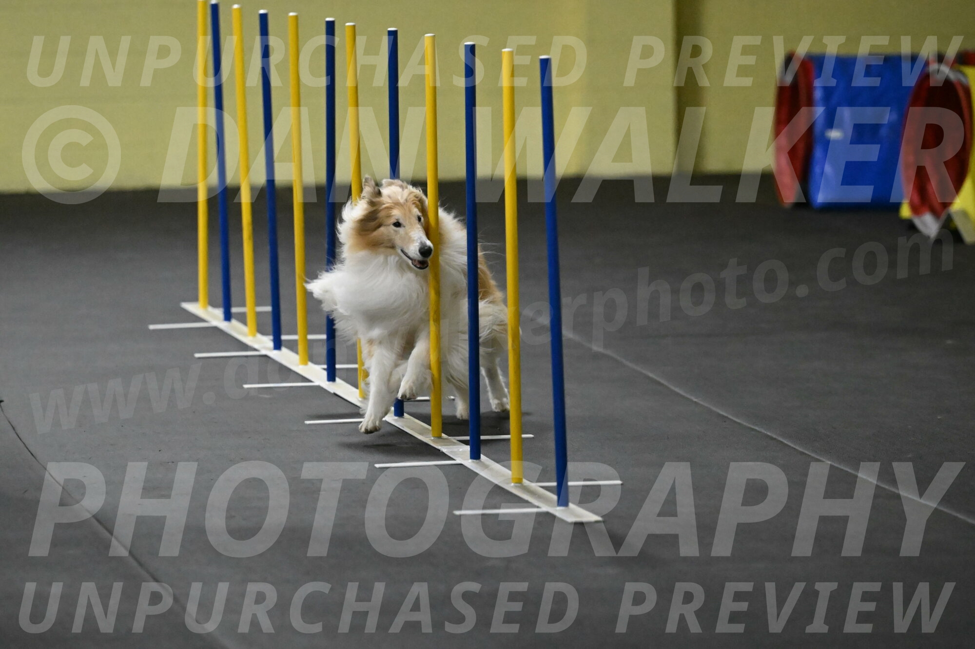 Attie-Schaffer-15142