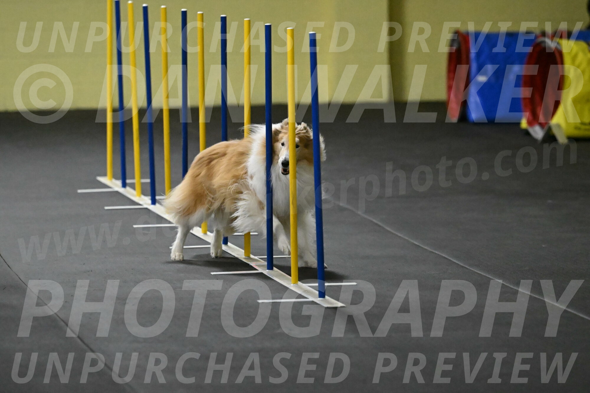 Attie-Schaffer-15147