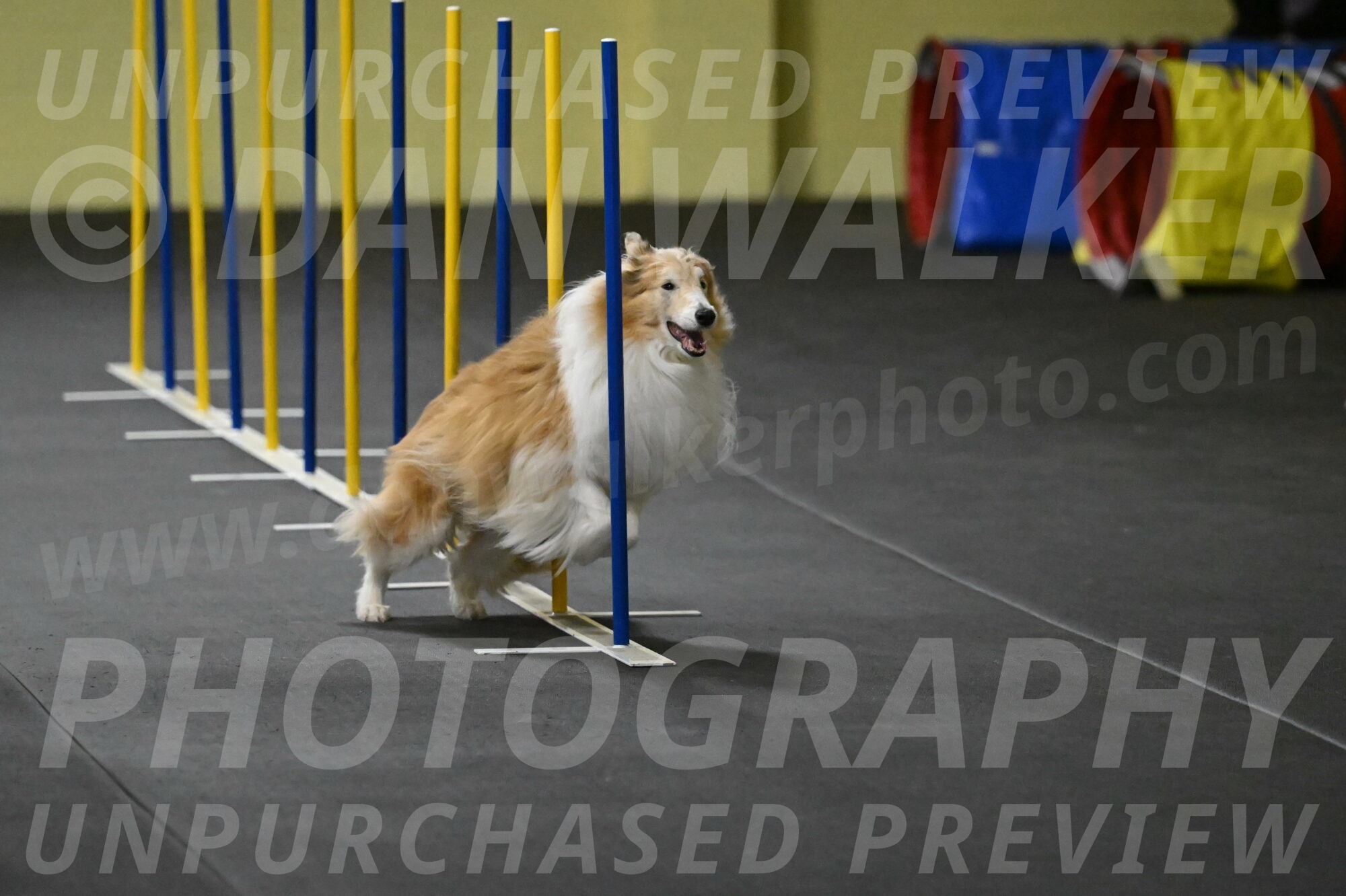 Attie-Schaffer-15154