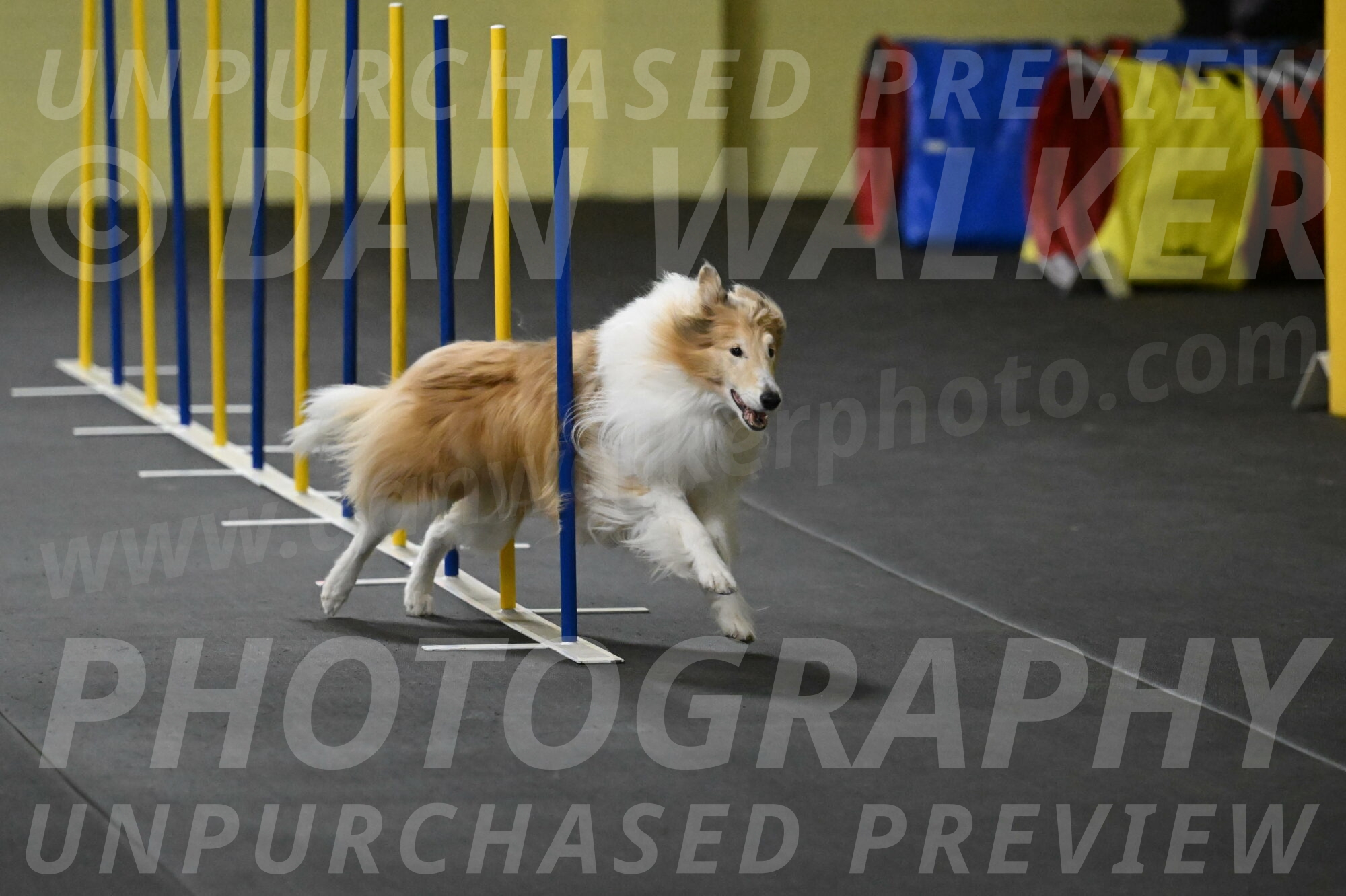 Attie-Schaffer-15155