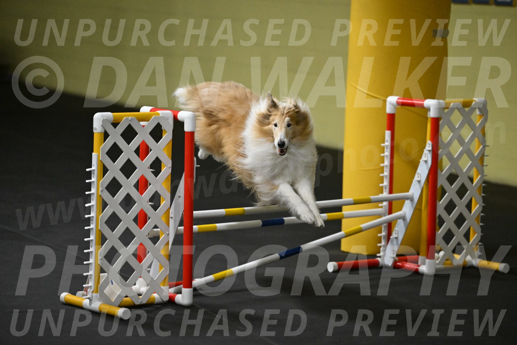 Attie-Schaffer-15161