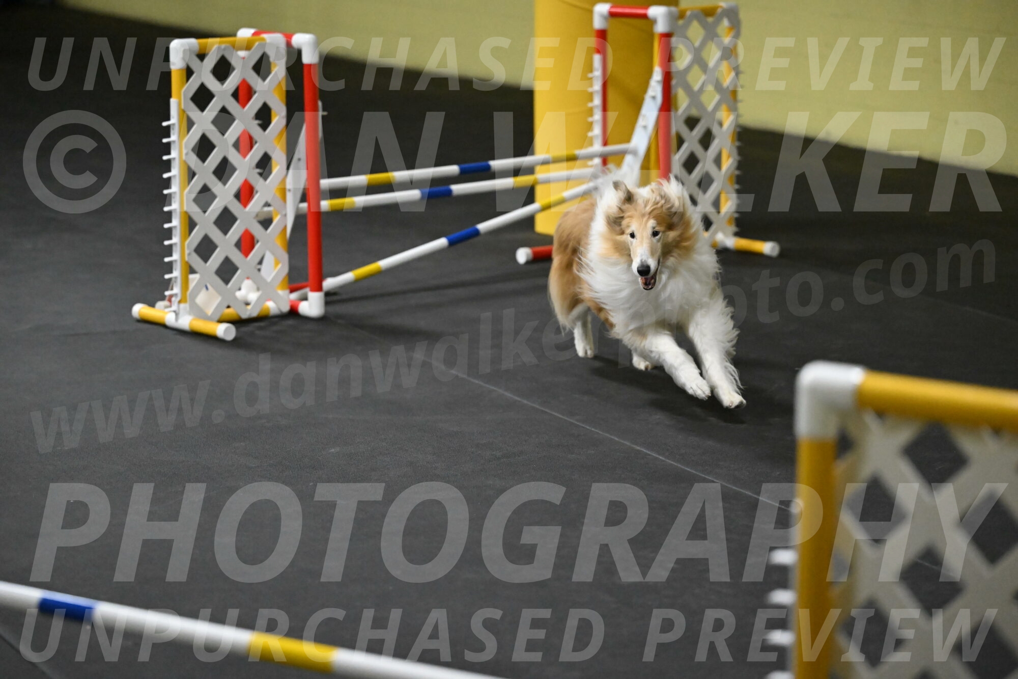 Attie-Schaffer-15162