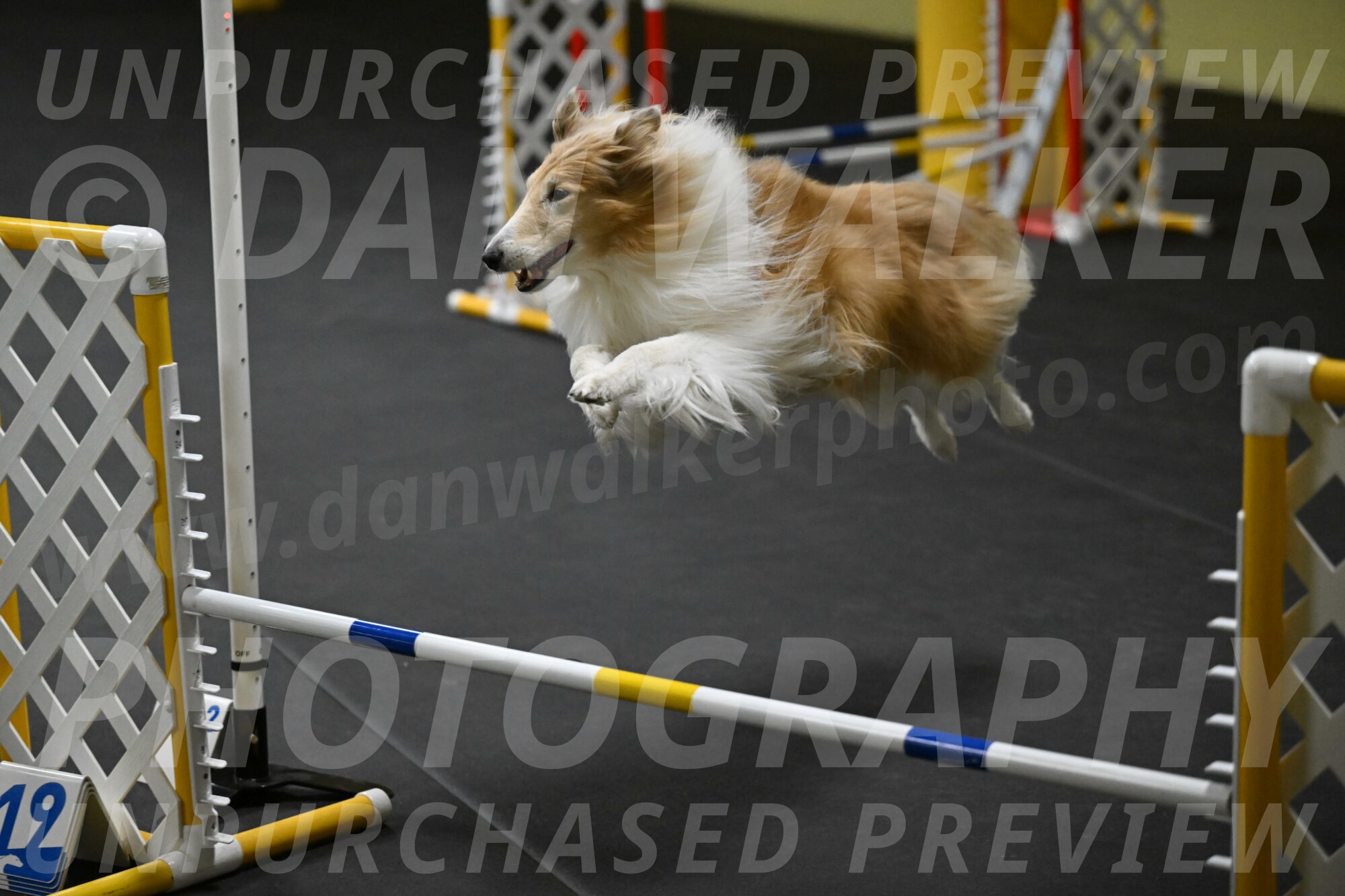 Attie-Schaffer-15168