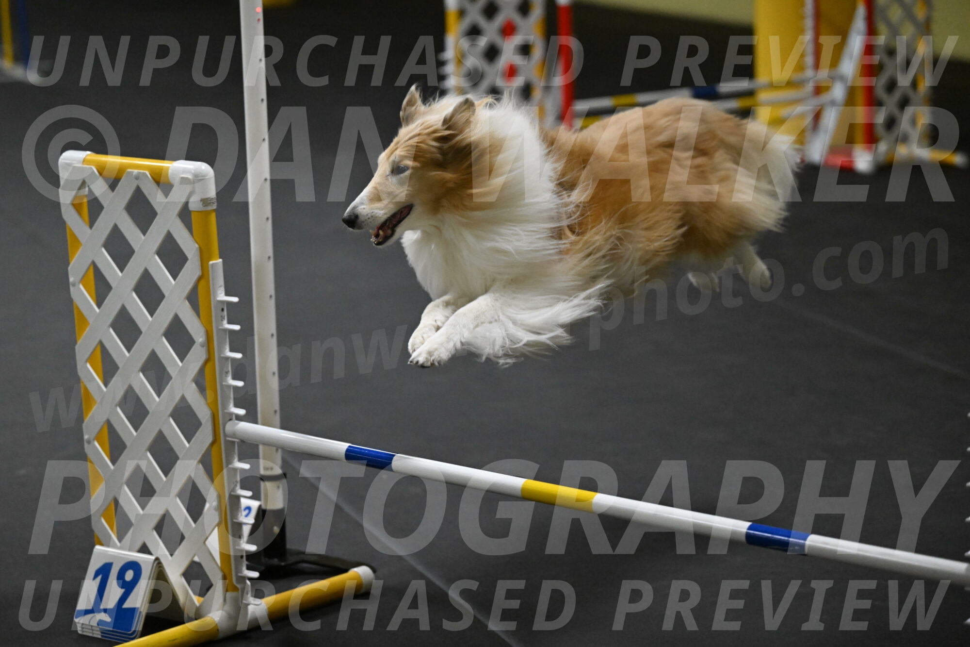 Attie-Schaffer-15169