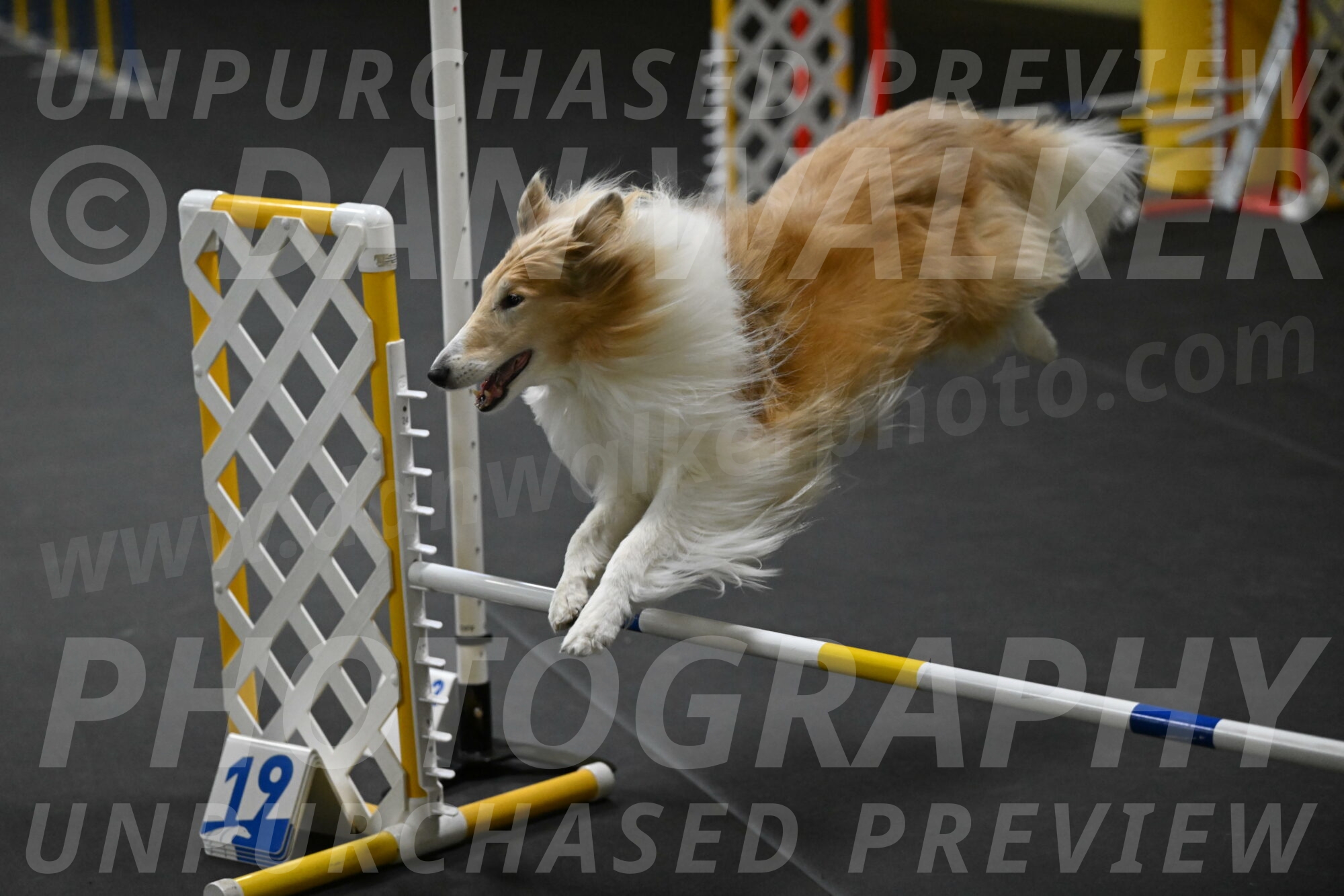 Attie-Schaffer-15170