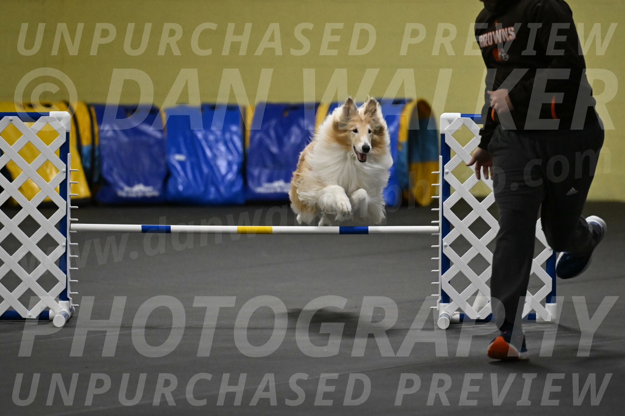 Attie-Schaffer-15173