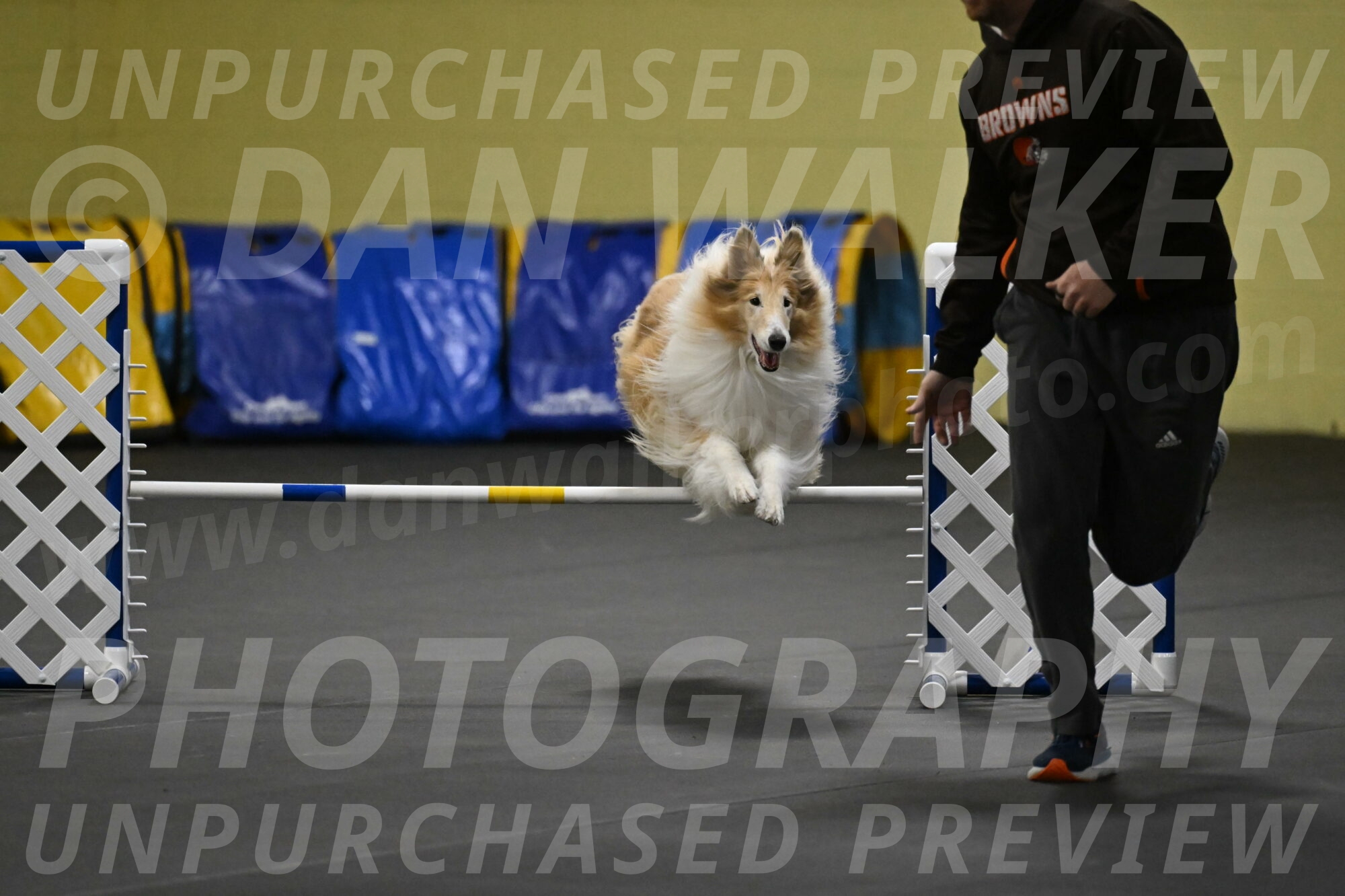 Attie-Schaffer-15174