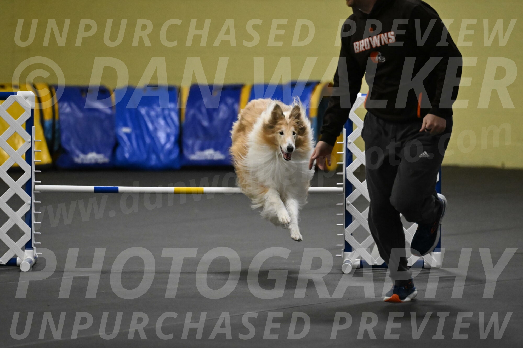 Attie-Schaffer-15175