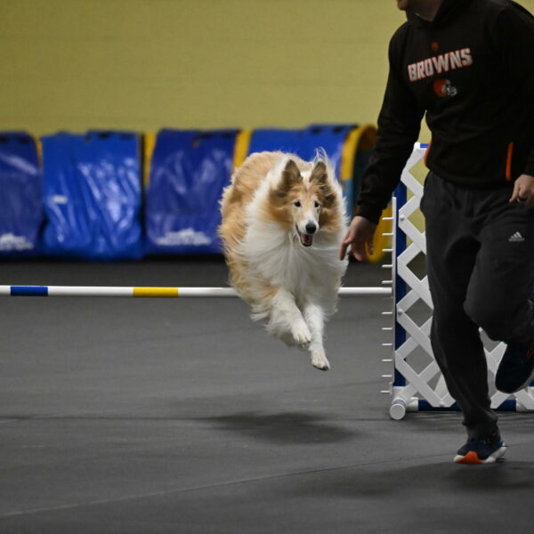 Attie-Schaffer-15175