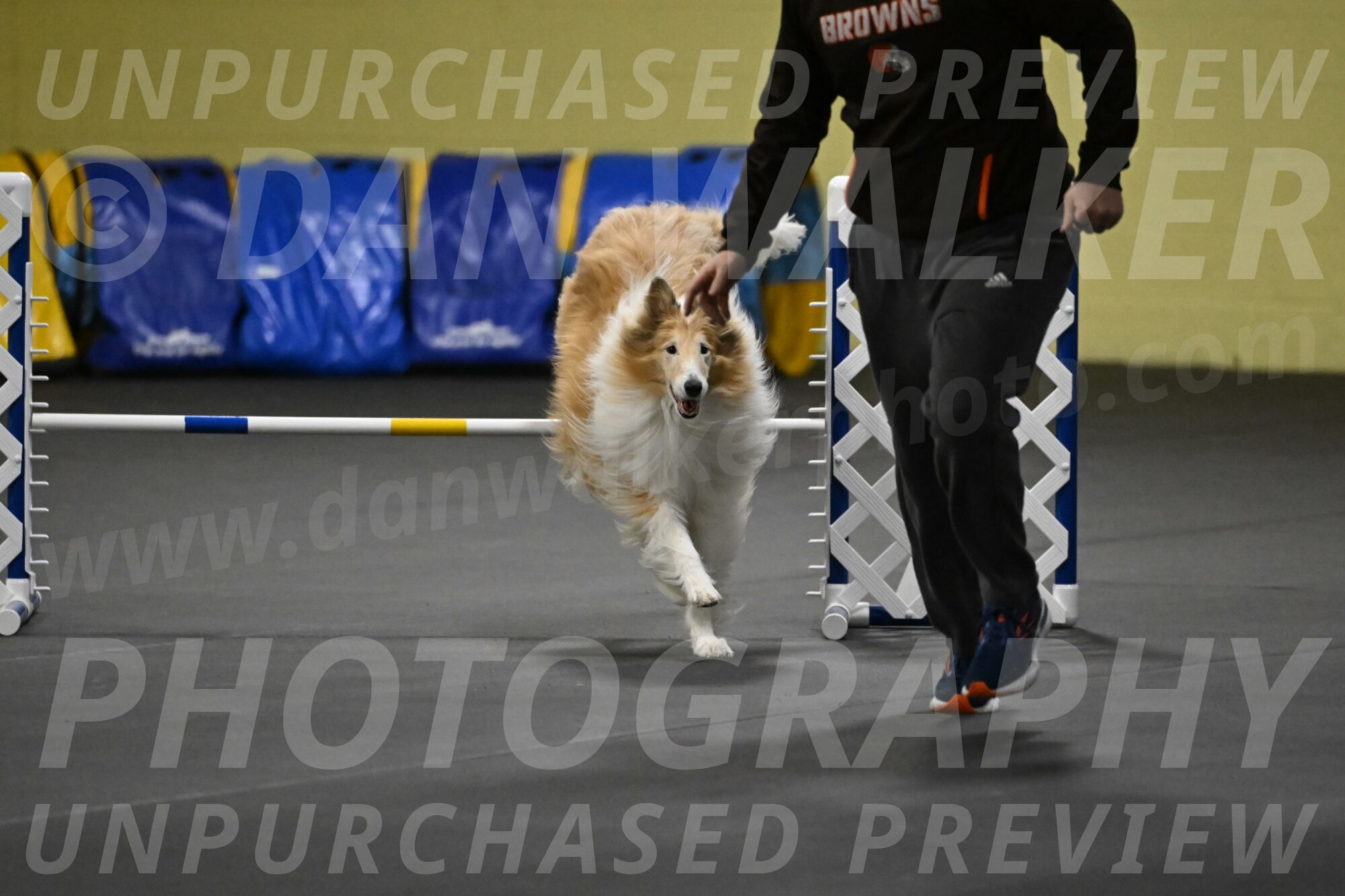 Attie-Schaffer-15176