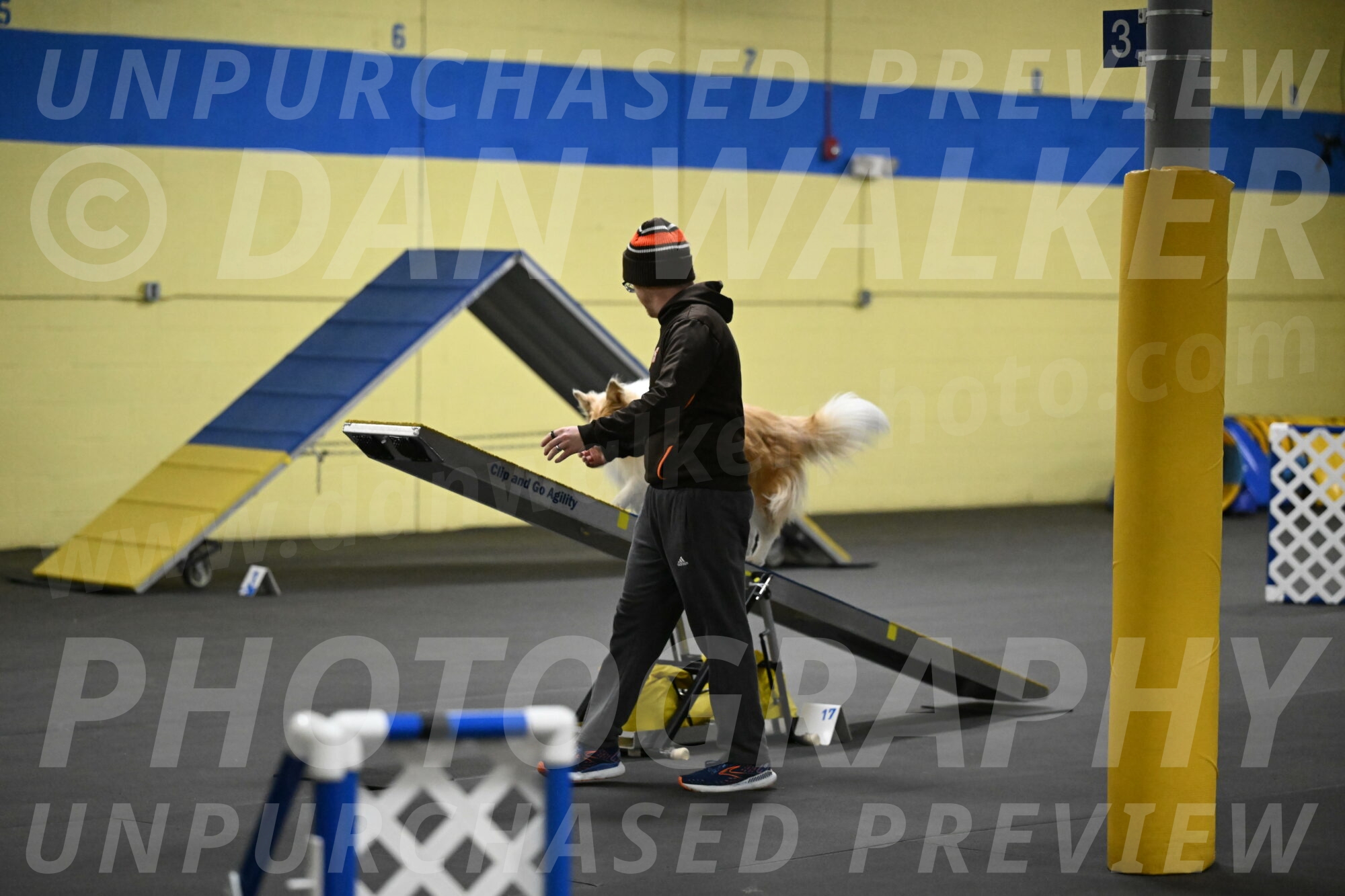 Attie-Schaffer-15177