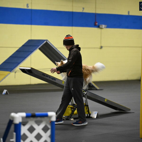 Attie-Schaffer-15177