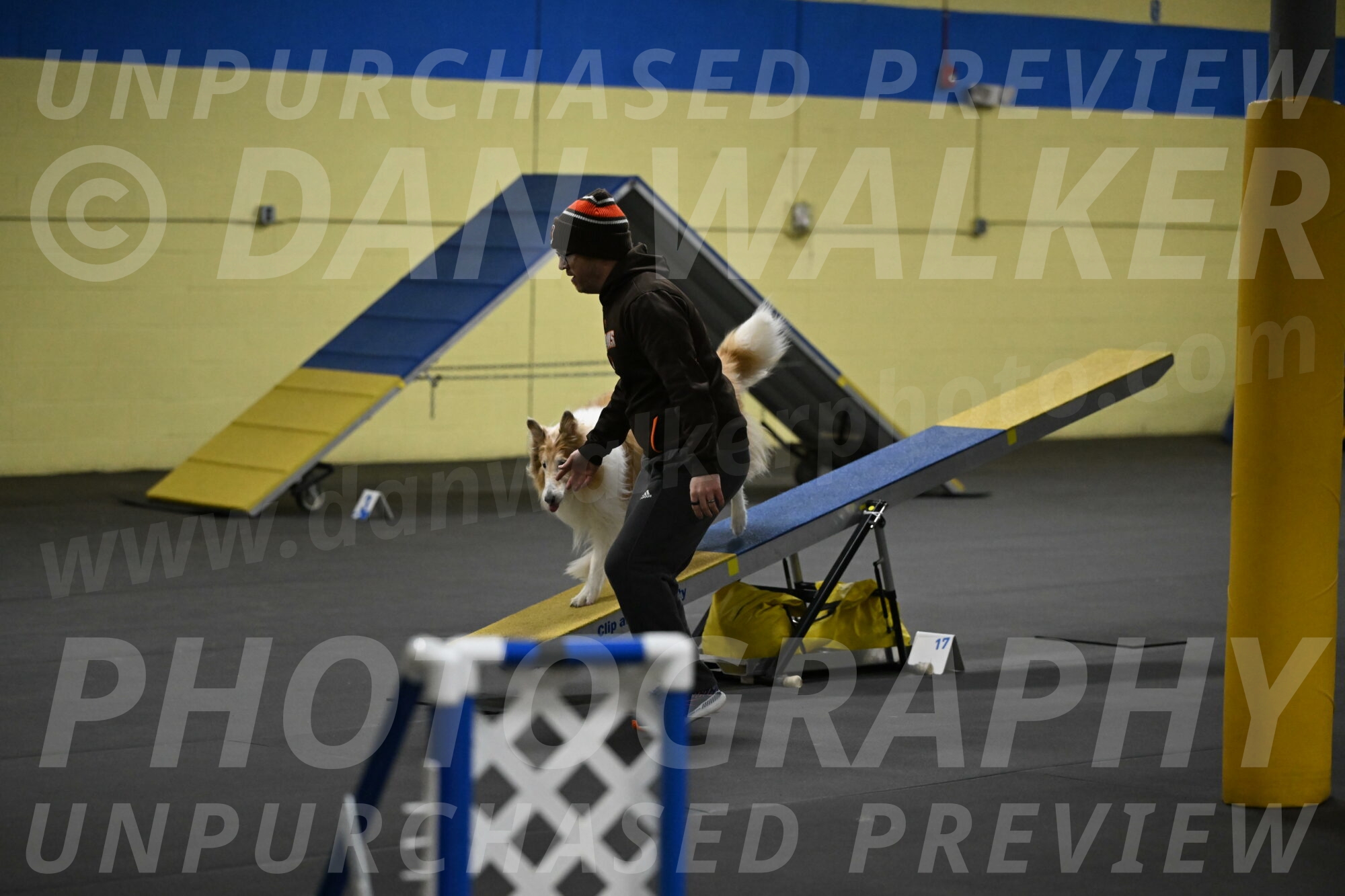 Attie-Schaffer-15182