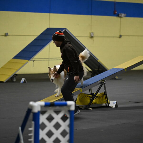 Attie-Schaffer-15182