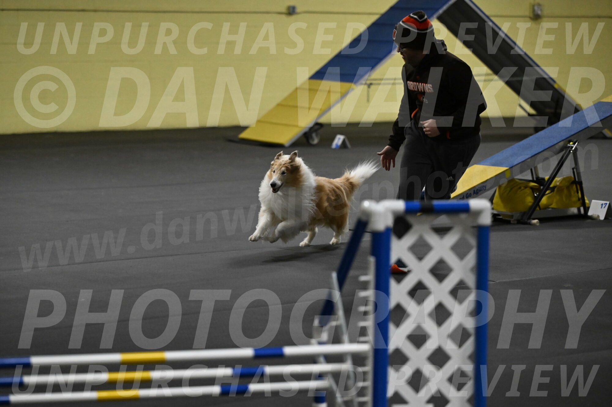 Attie-Schaffer-15186