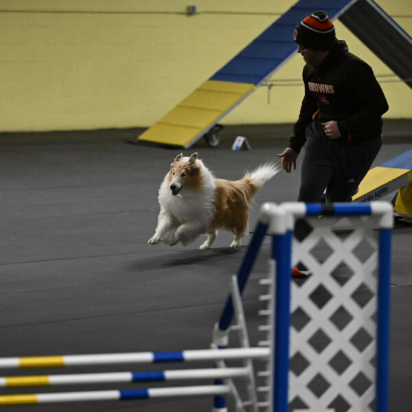 Attie-Schaffer-15186