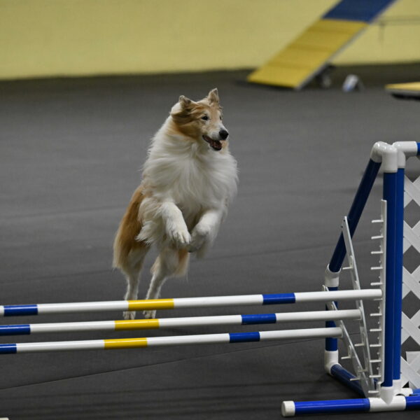 Attie-Schaffer-15189