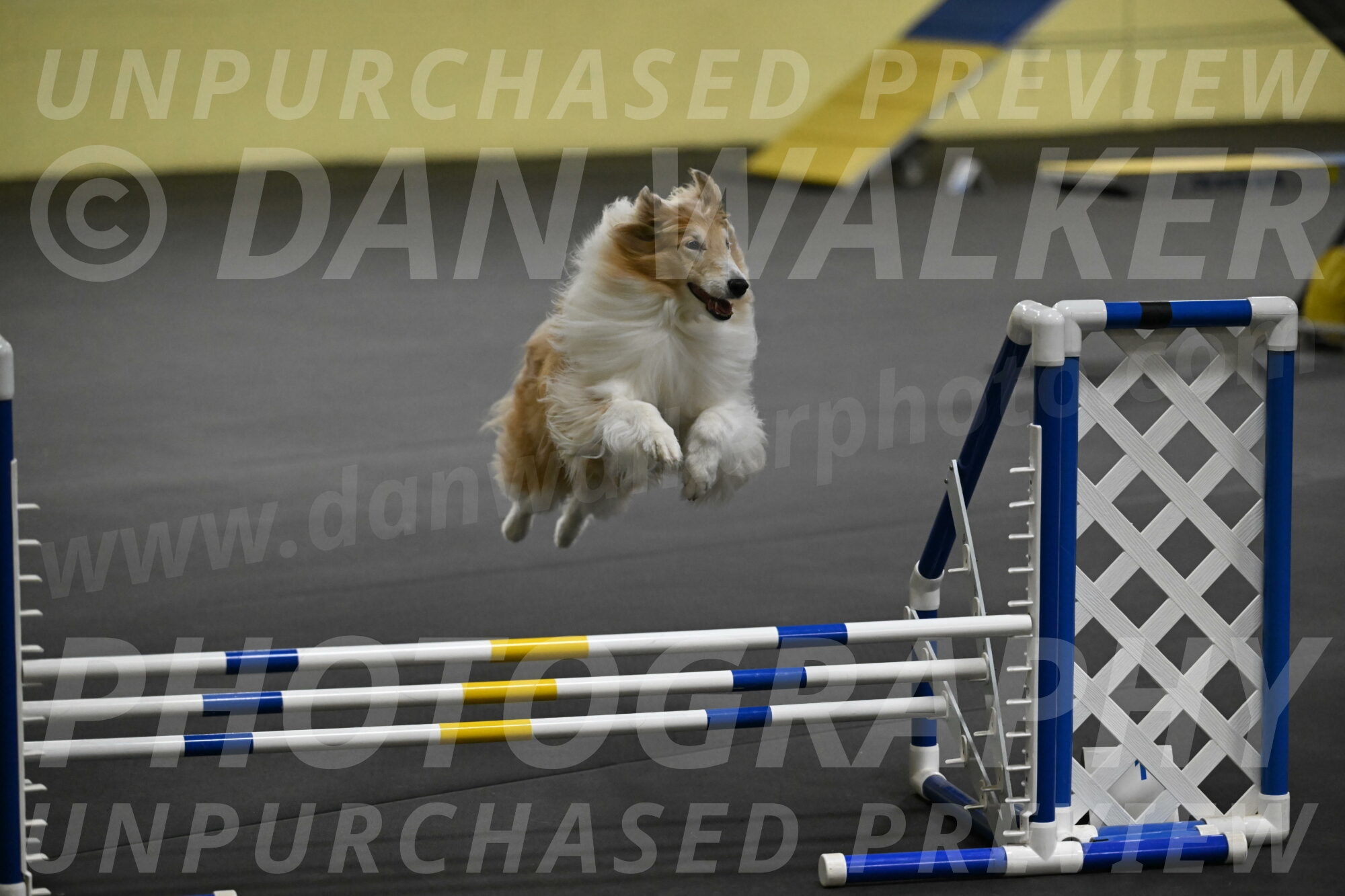 Attie-Schaffer-15190