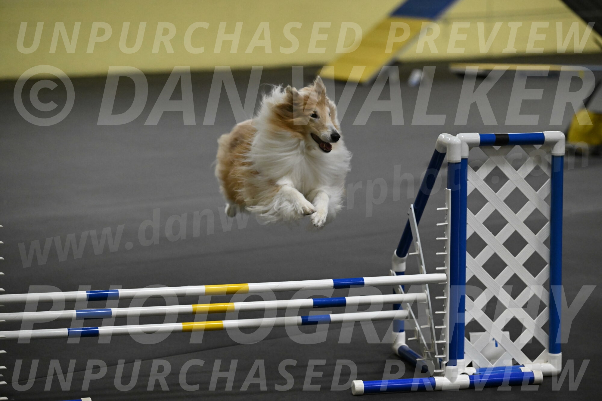 Attie-Schaffer-15191