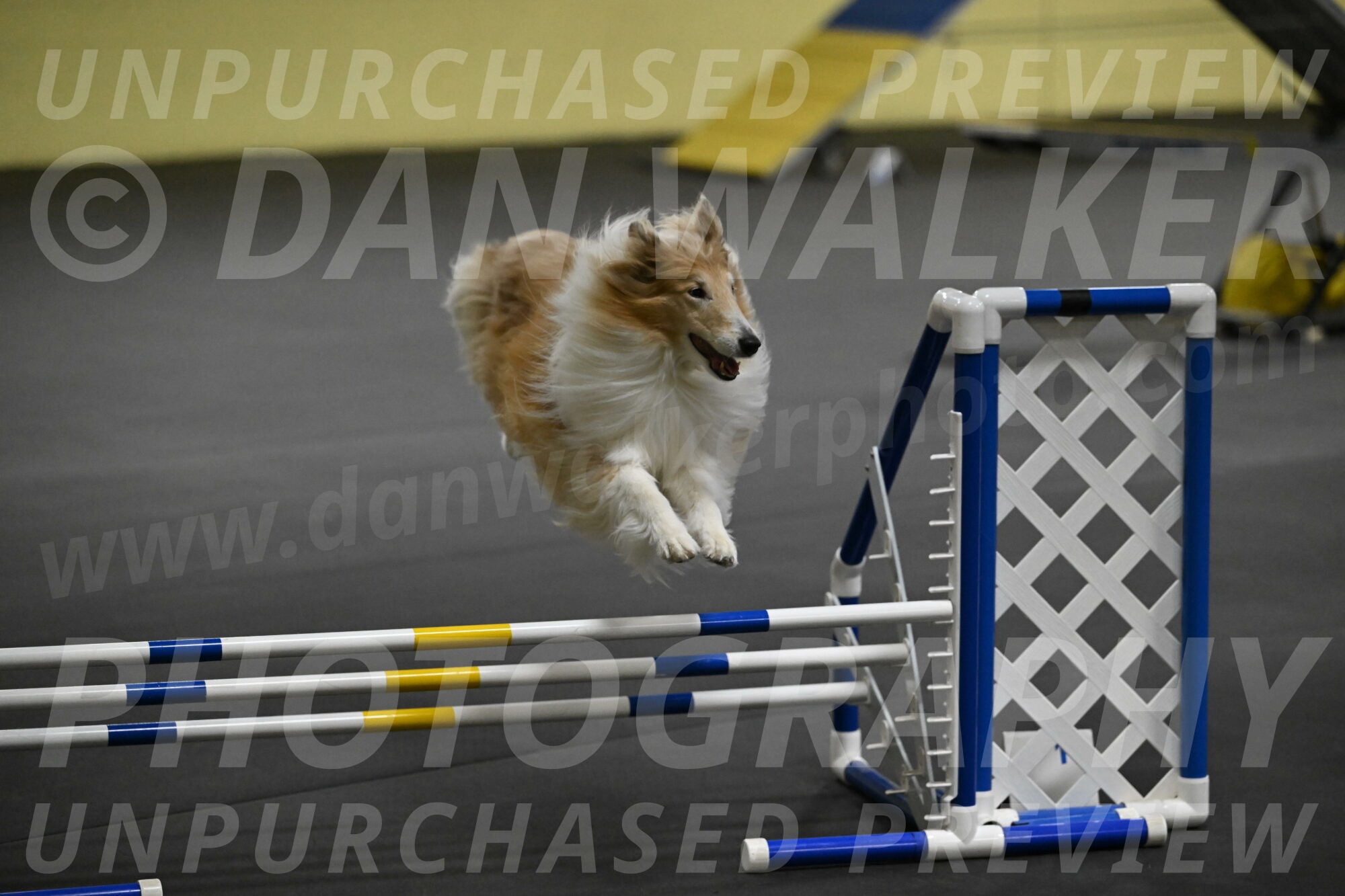 Attie-Schaffer-15192