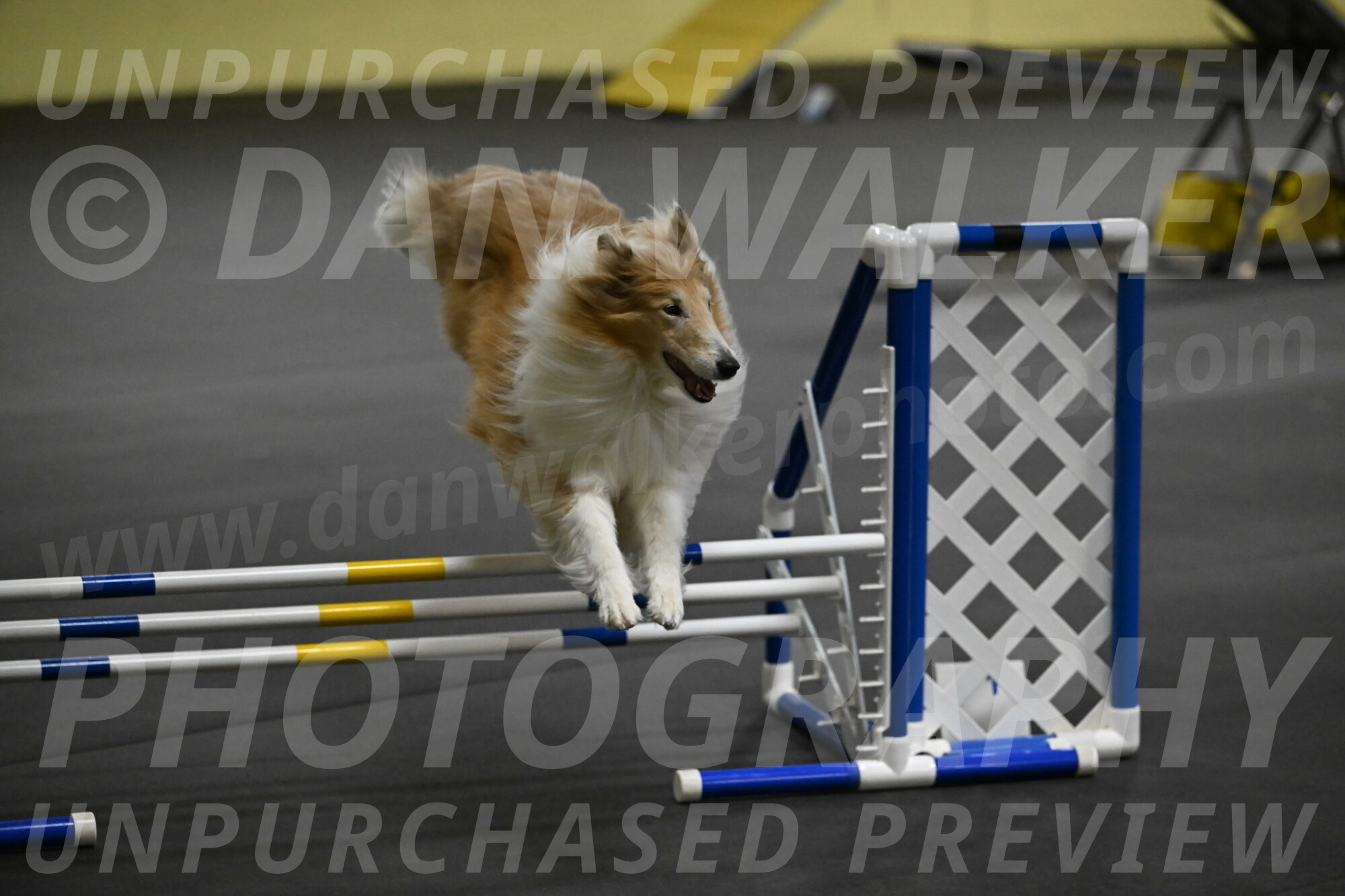 Attie-Schaffer-15193