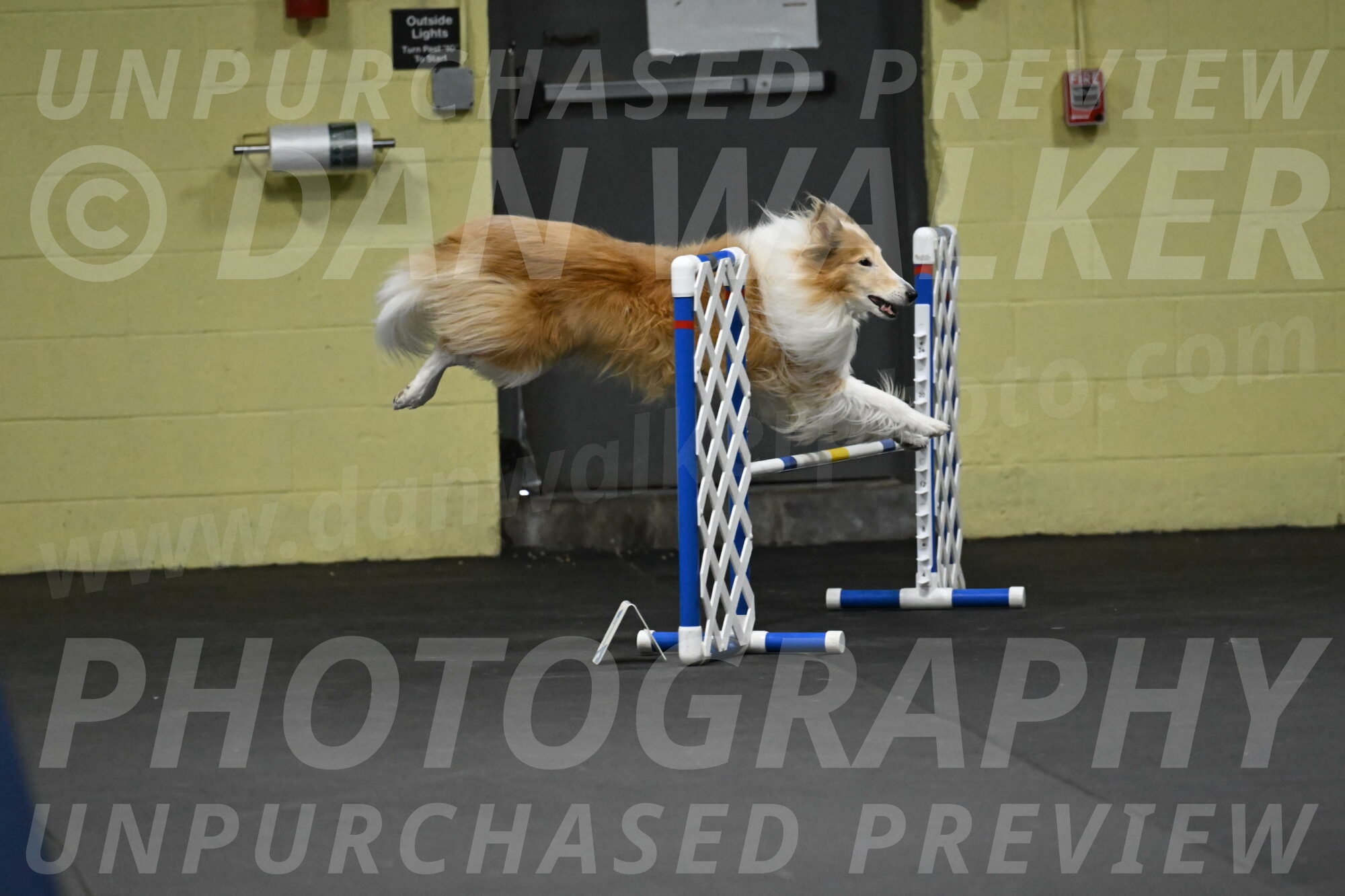 Attie-Schaffer-15198