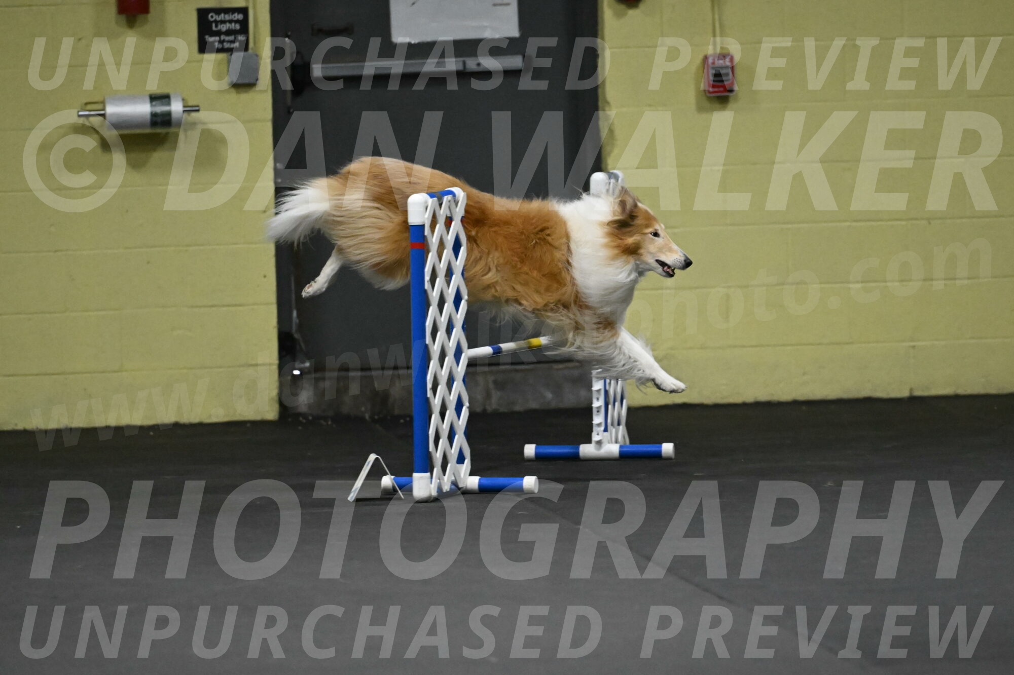 Attie-Schaffer-15199