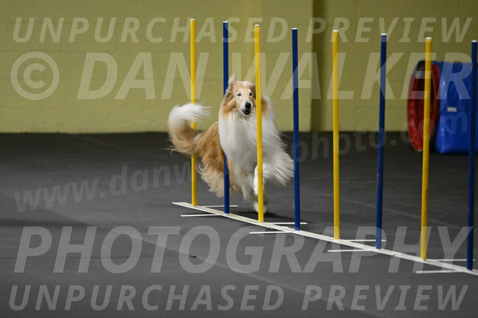 Attie-Schaffer-15205