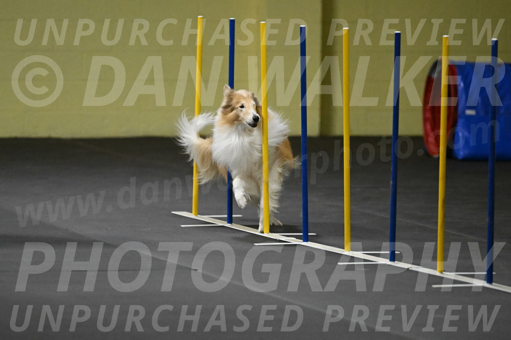 Attie-Schaffer-15206