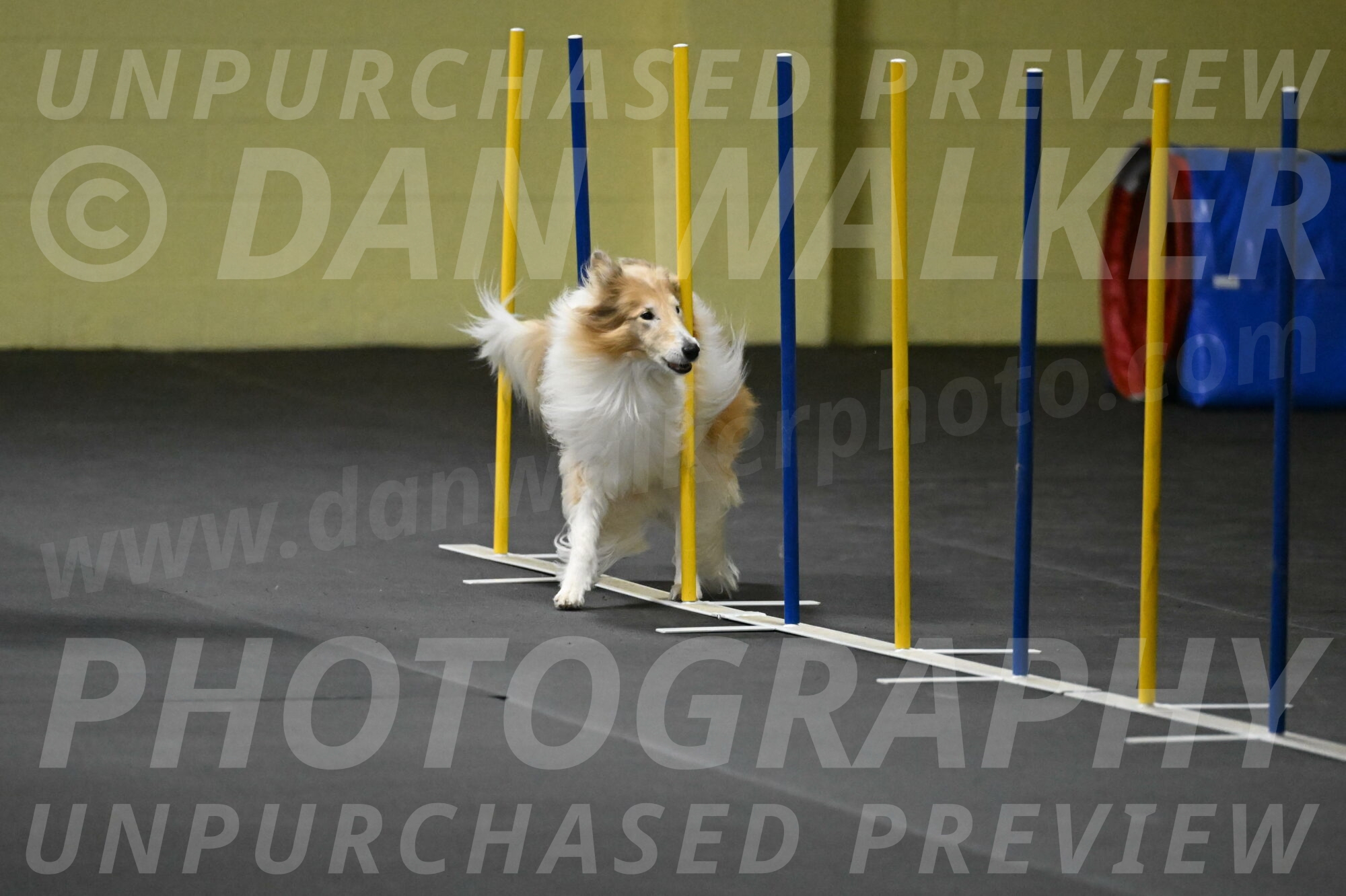 Attie-Schaffer-15207