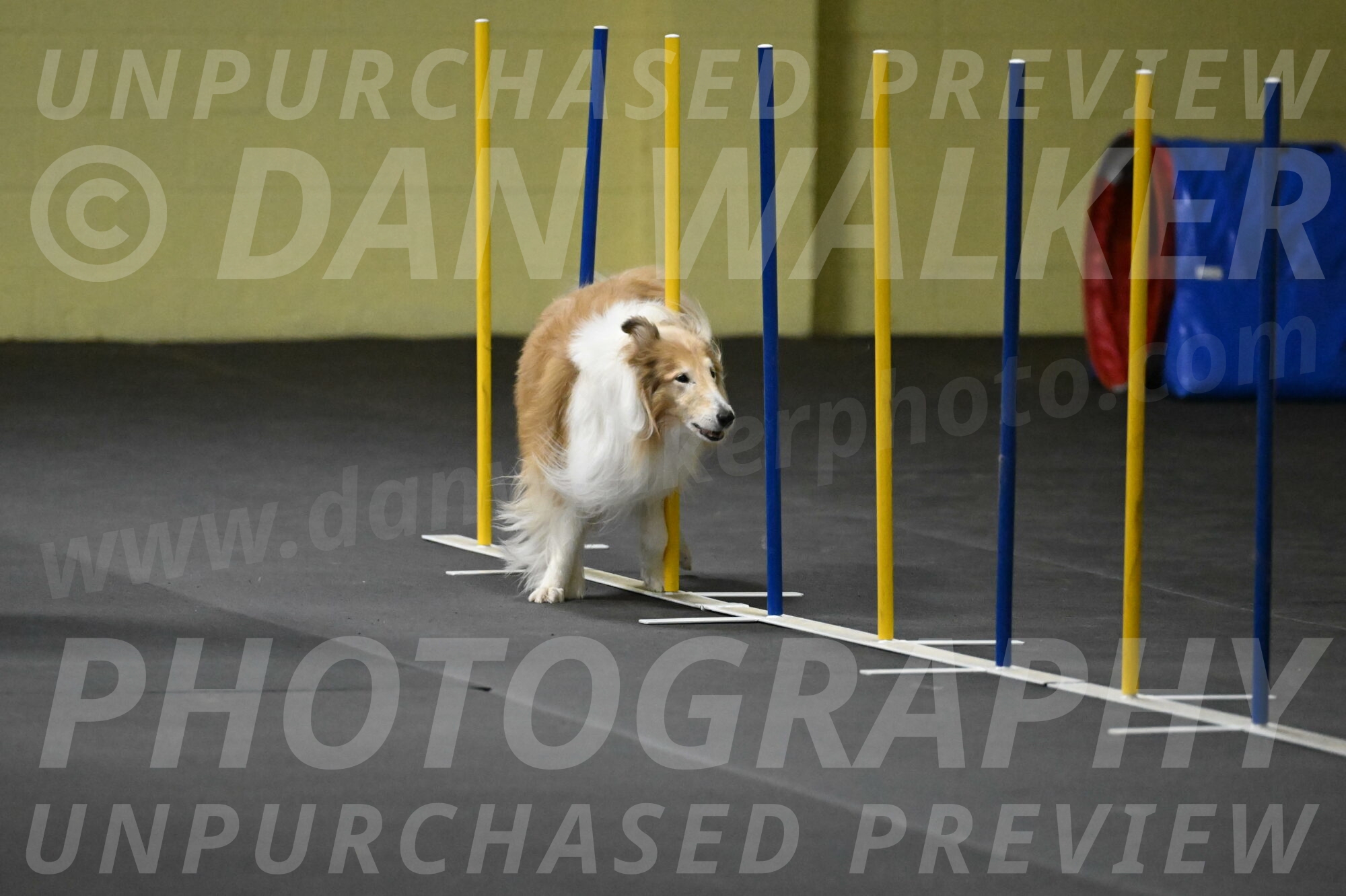 Attie-Schaffer-15208