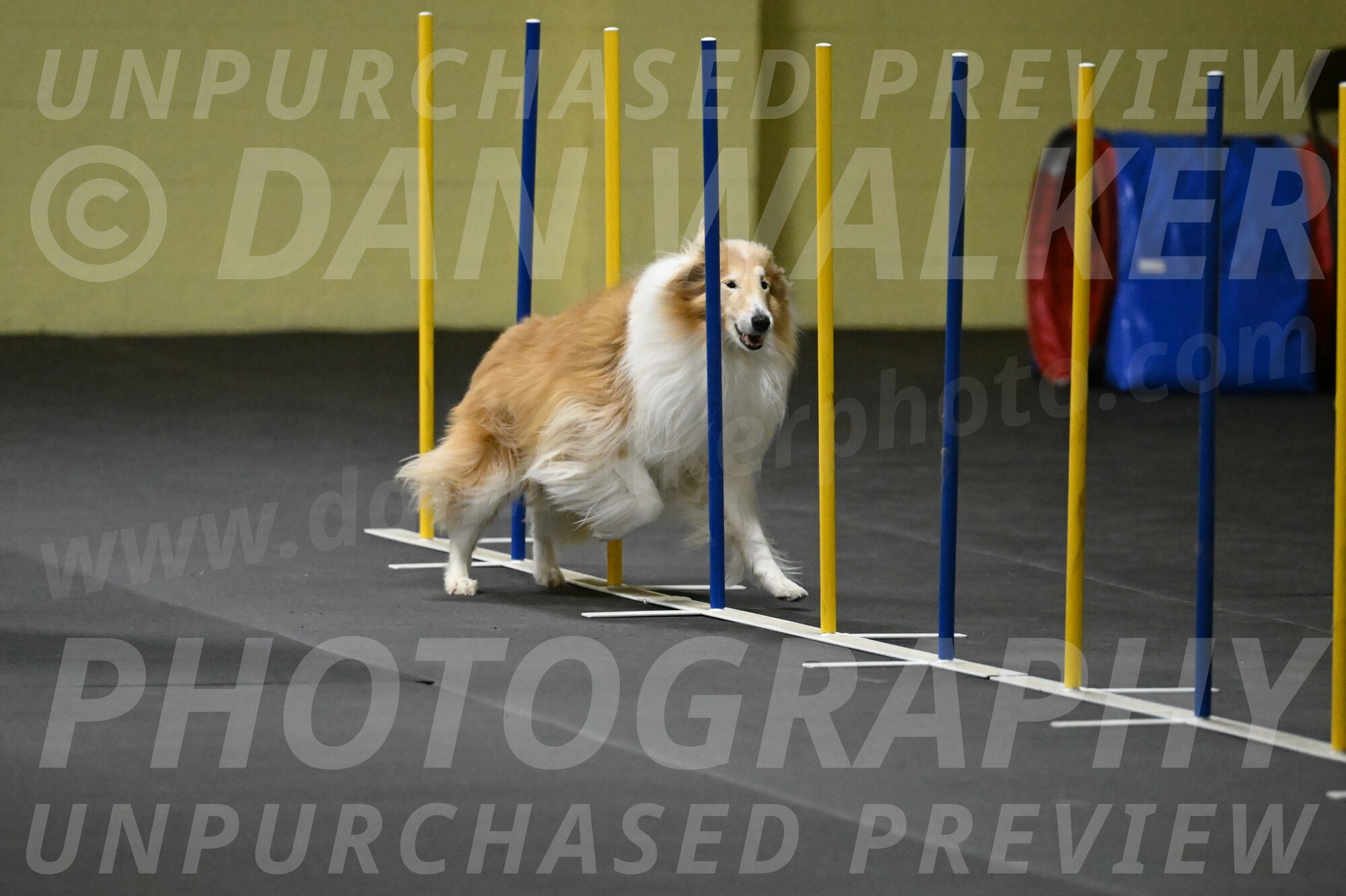 Attie-Schaffer-15211