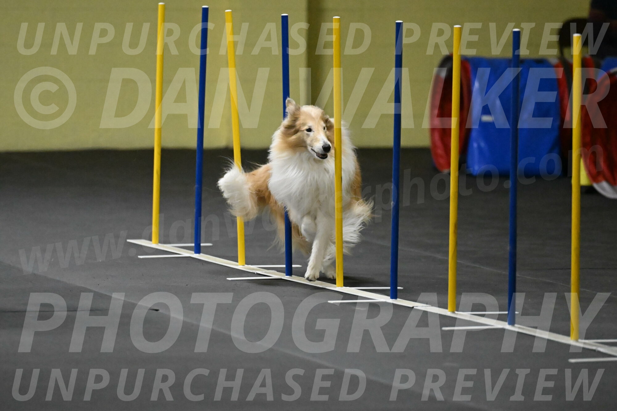 Attie-Schaffer-15216