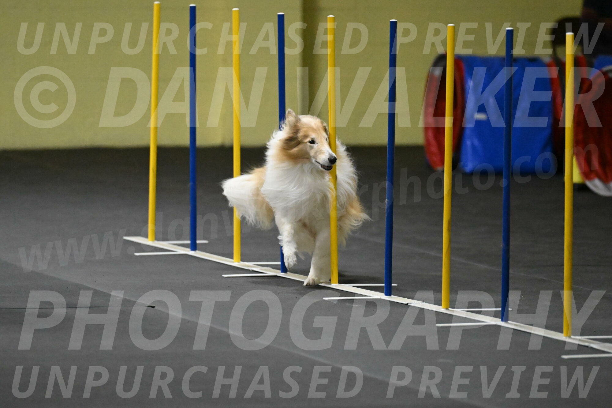 Attie-Schaffer-15217