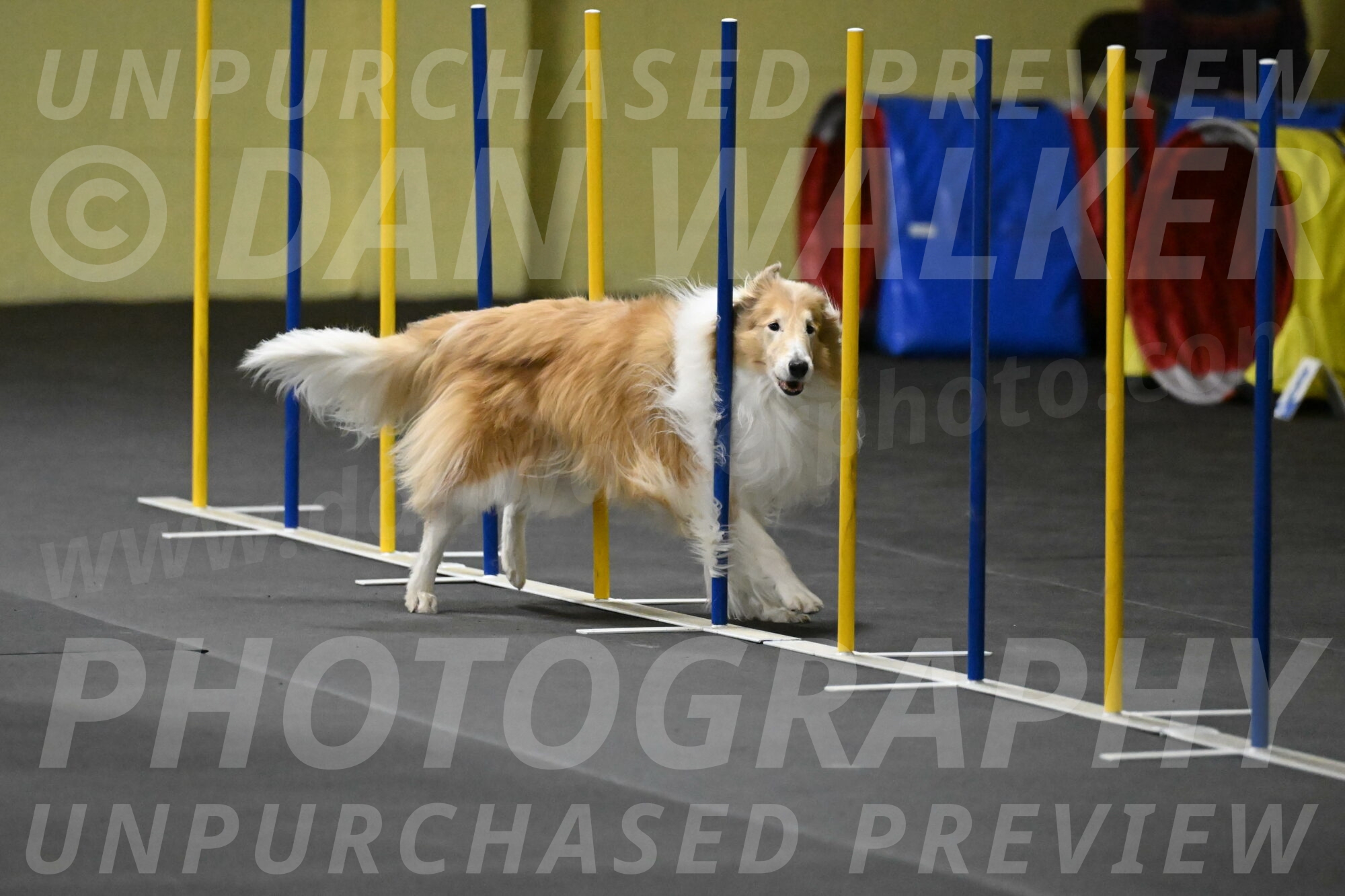 Attie-Schaffer-15222