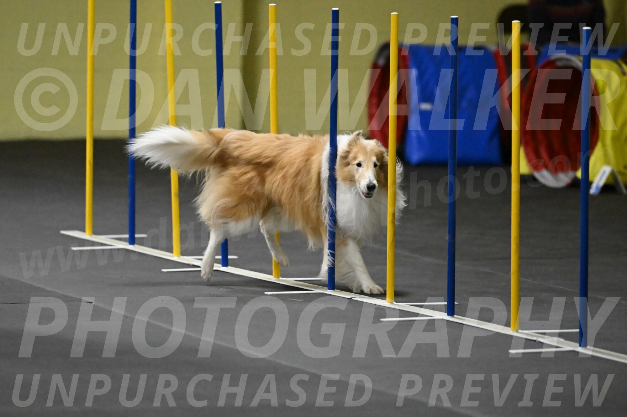 Attie-Schaffer-15223