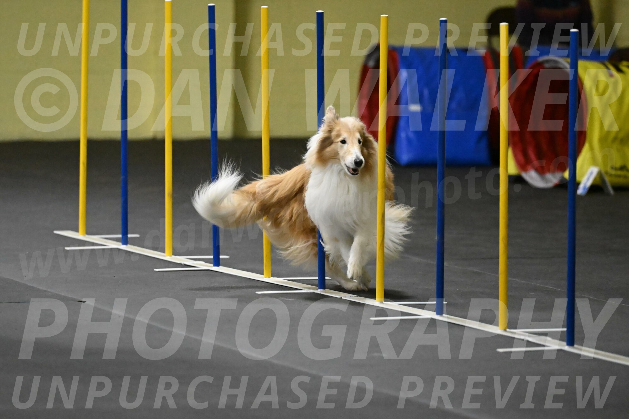 Attie-Schaffer-15225