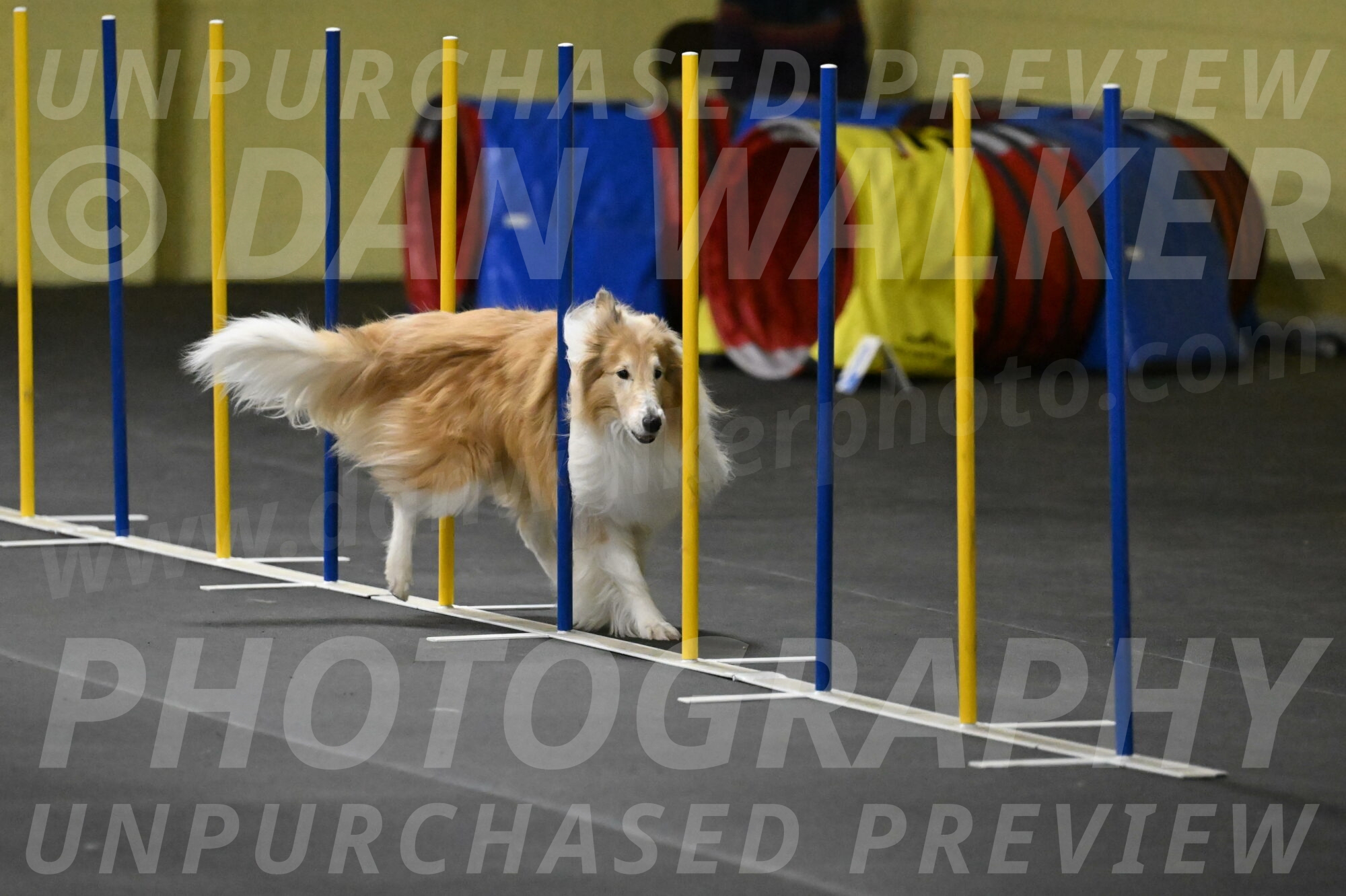 Attie-Schaffer-15232