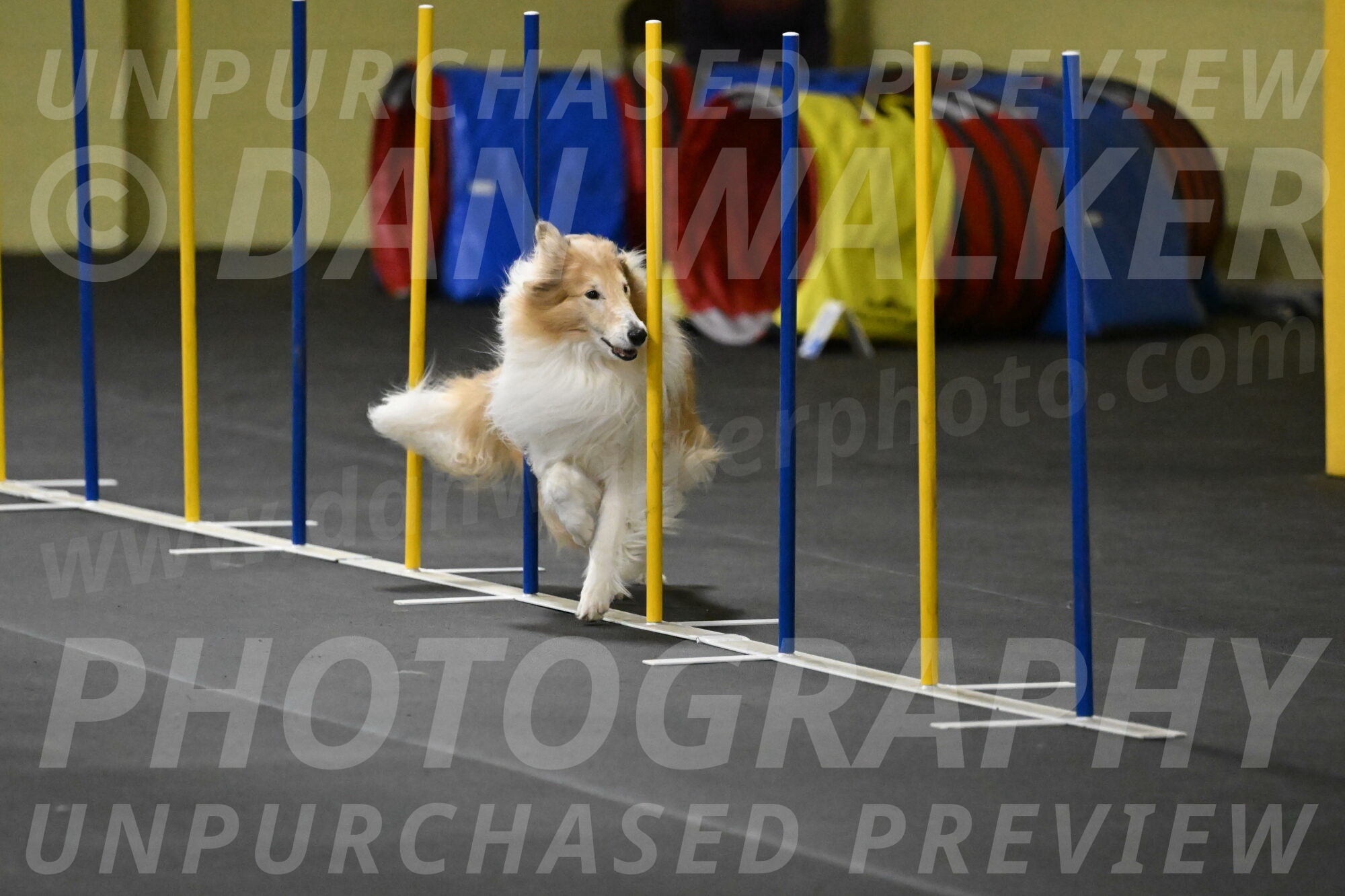 Attie-Schaffer-15234