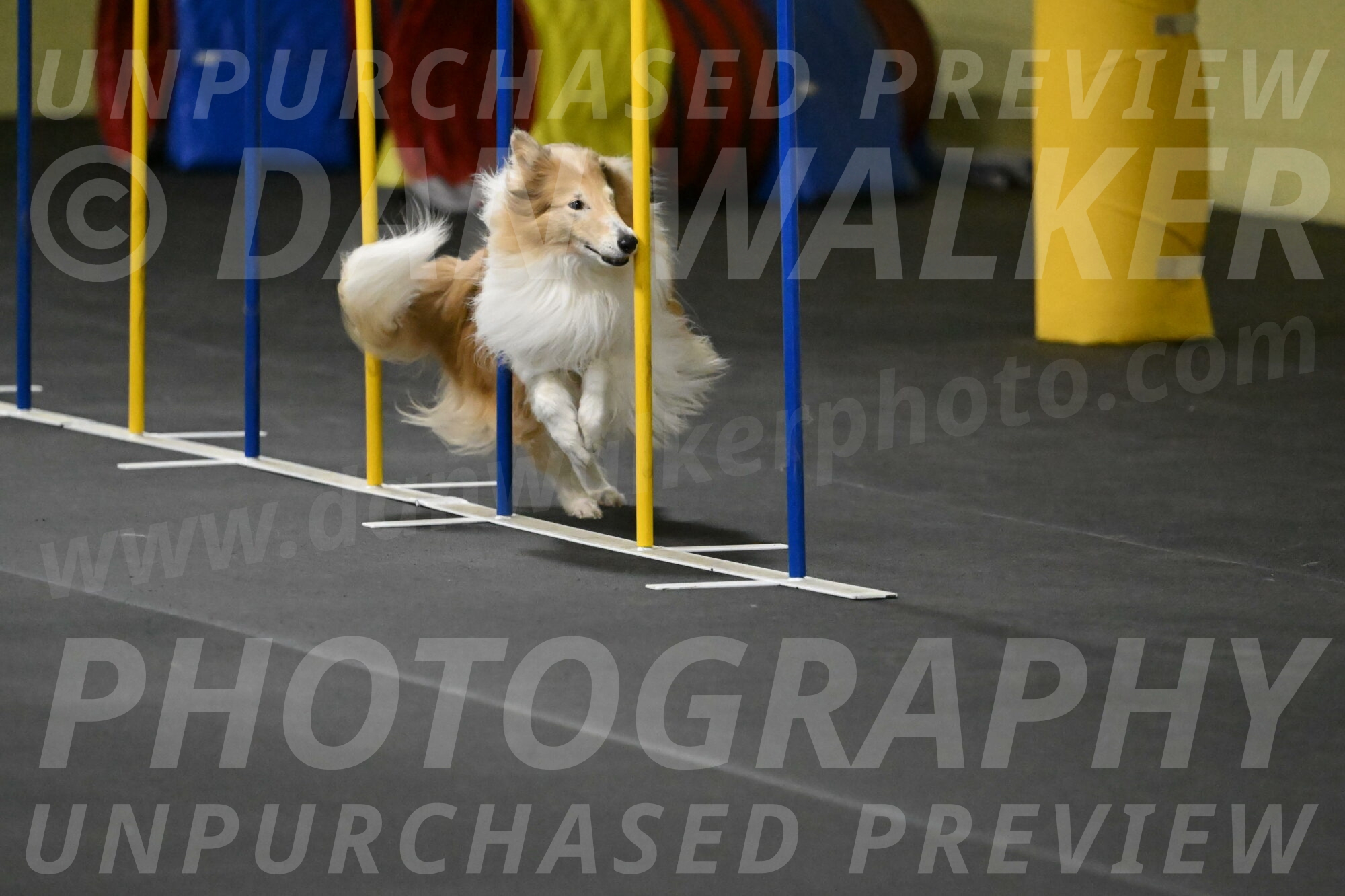 Attie-Schaffer-15243