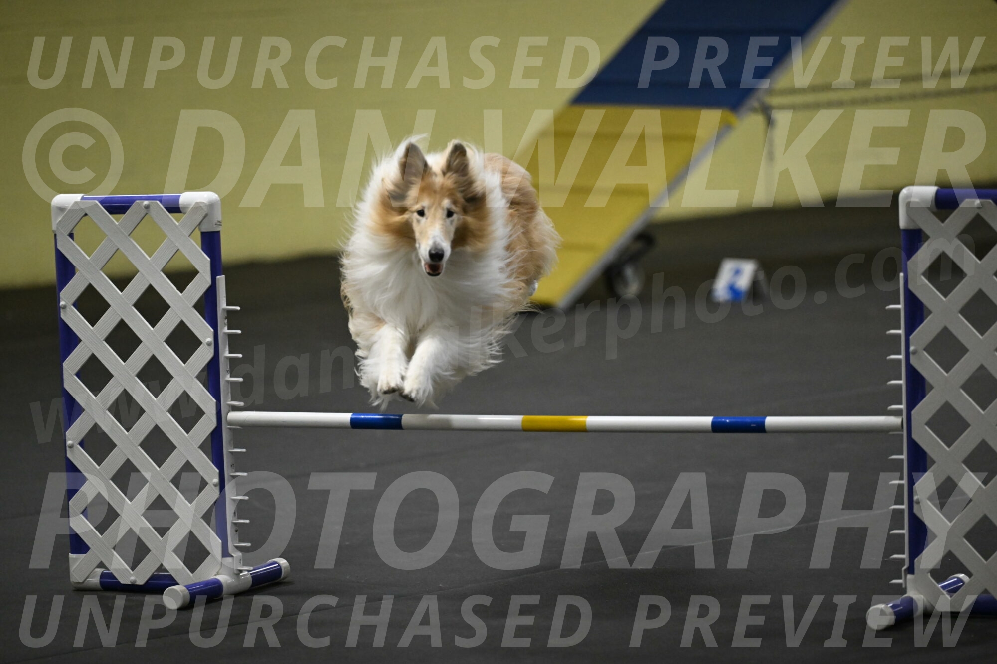 Attie-Schaffer-15260