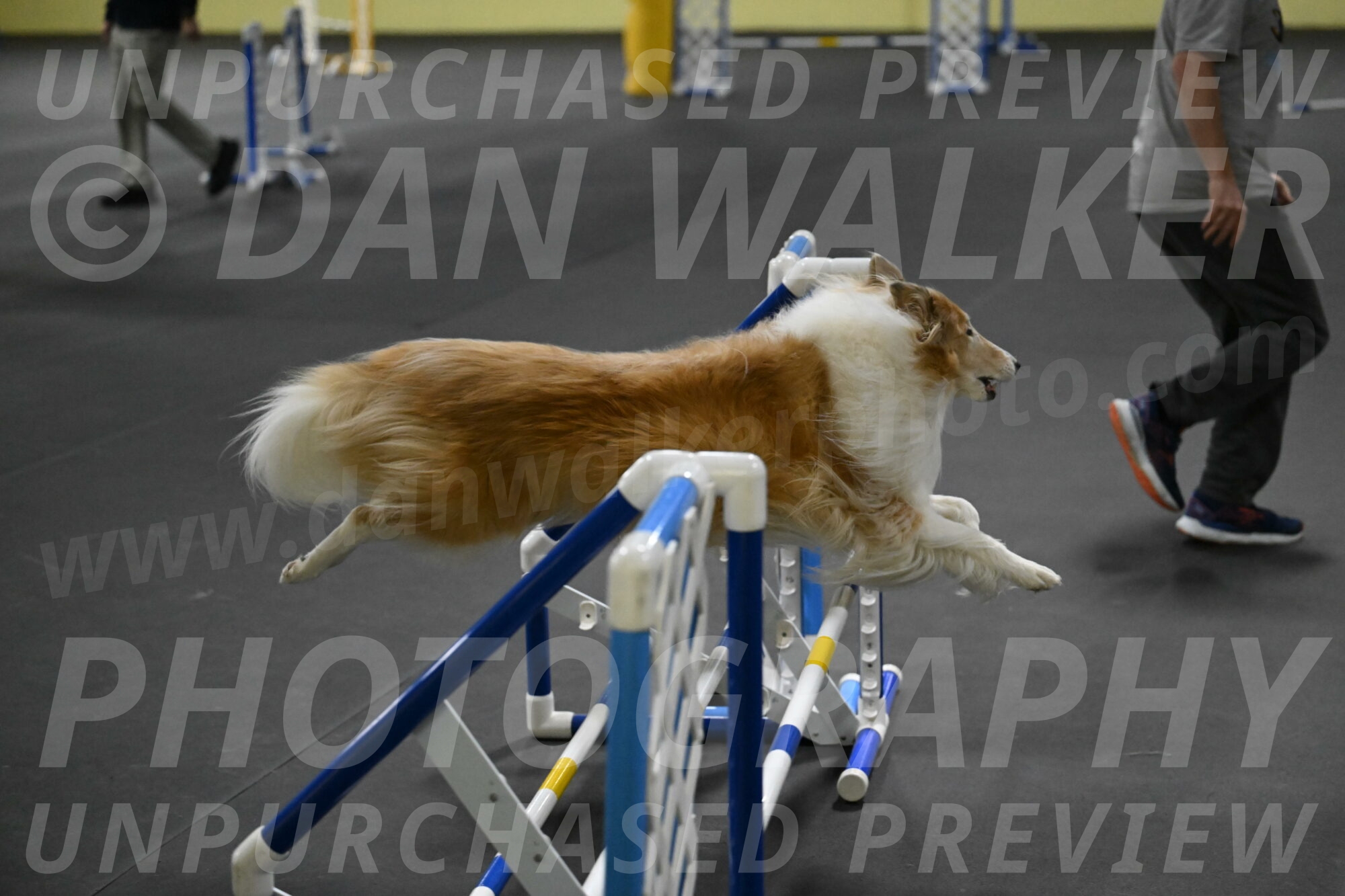 Attie-Schaffer-15292